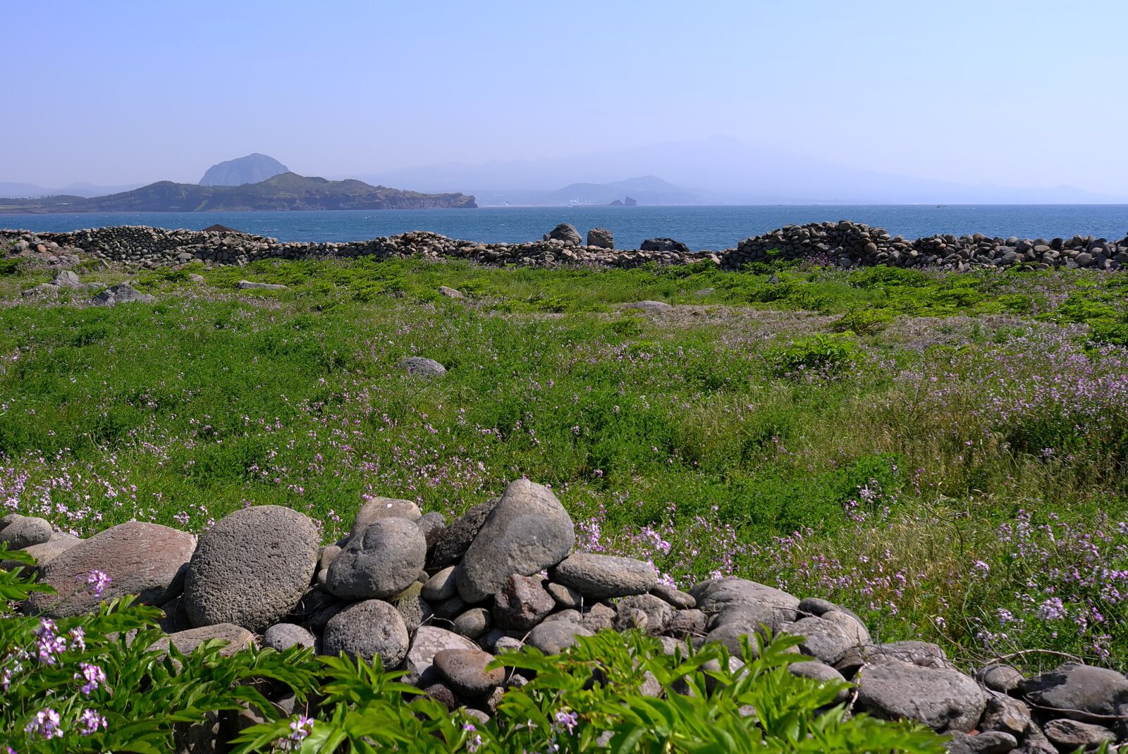 Leica X1 sample photo. Grass, nature, scenery photography