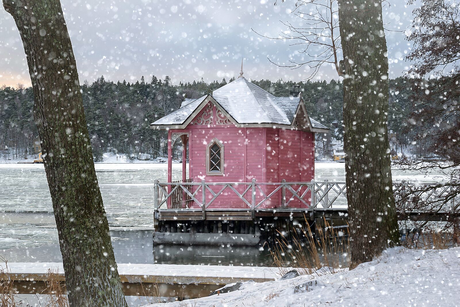 Nikon D3300 sample photo. Turku, ruissalo, winter photography