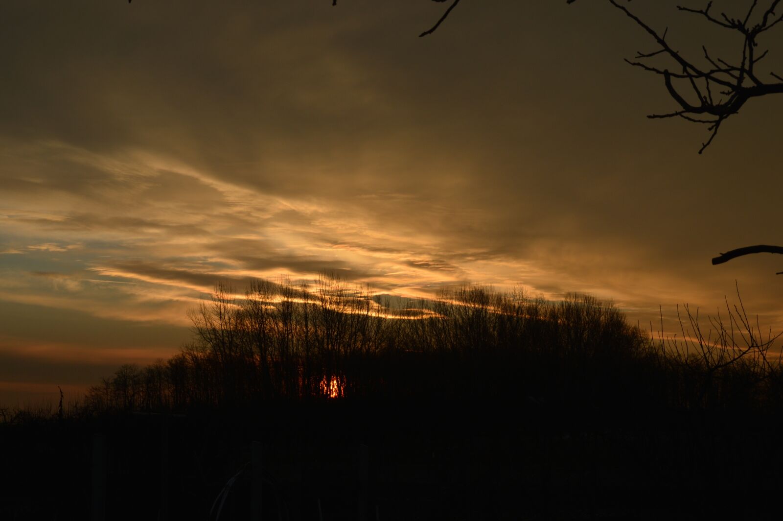 Nikon D3200 sample photo. Winter, in the morning photography