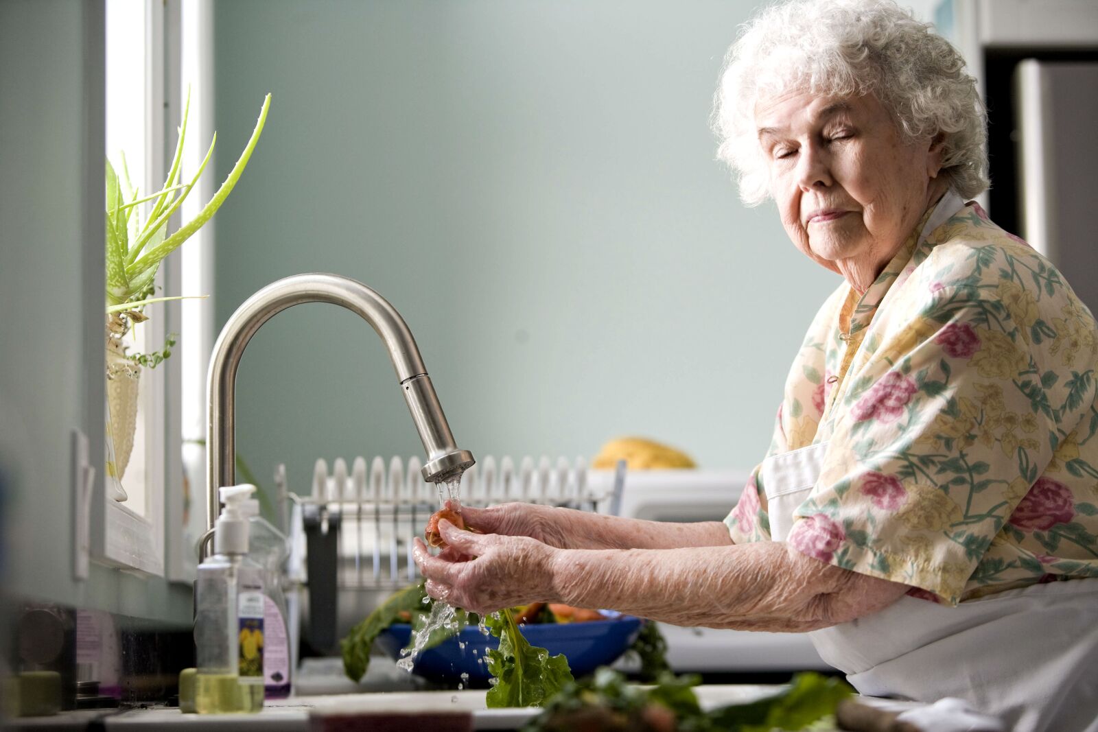 Canon EOS-1Ds Mark II sample photo. Old woman, kitchen, washing photography