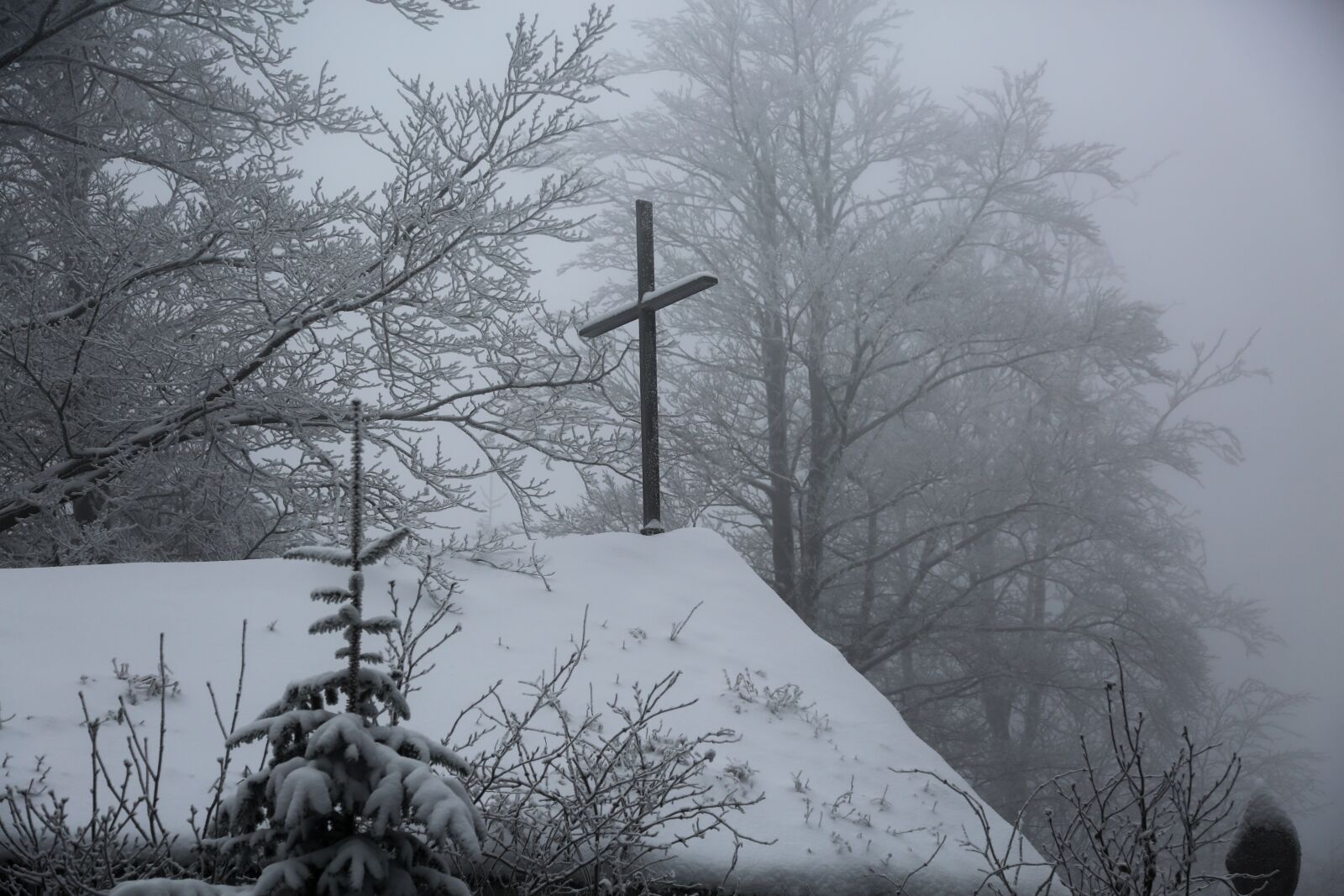Canon EF 24-105mm F4L IS USM sample photo. Winter, cold, wintry photography