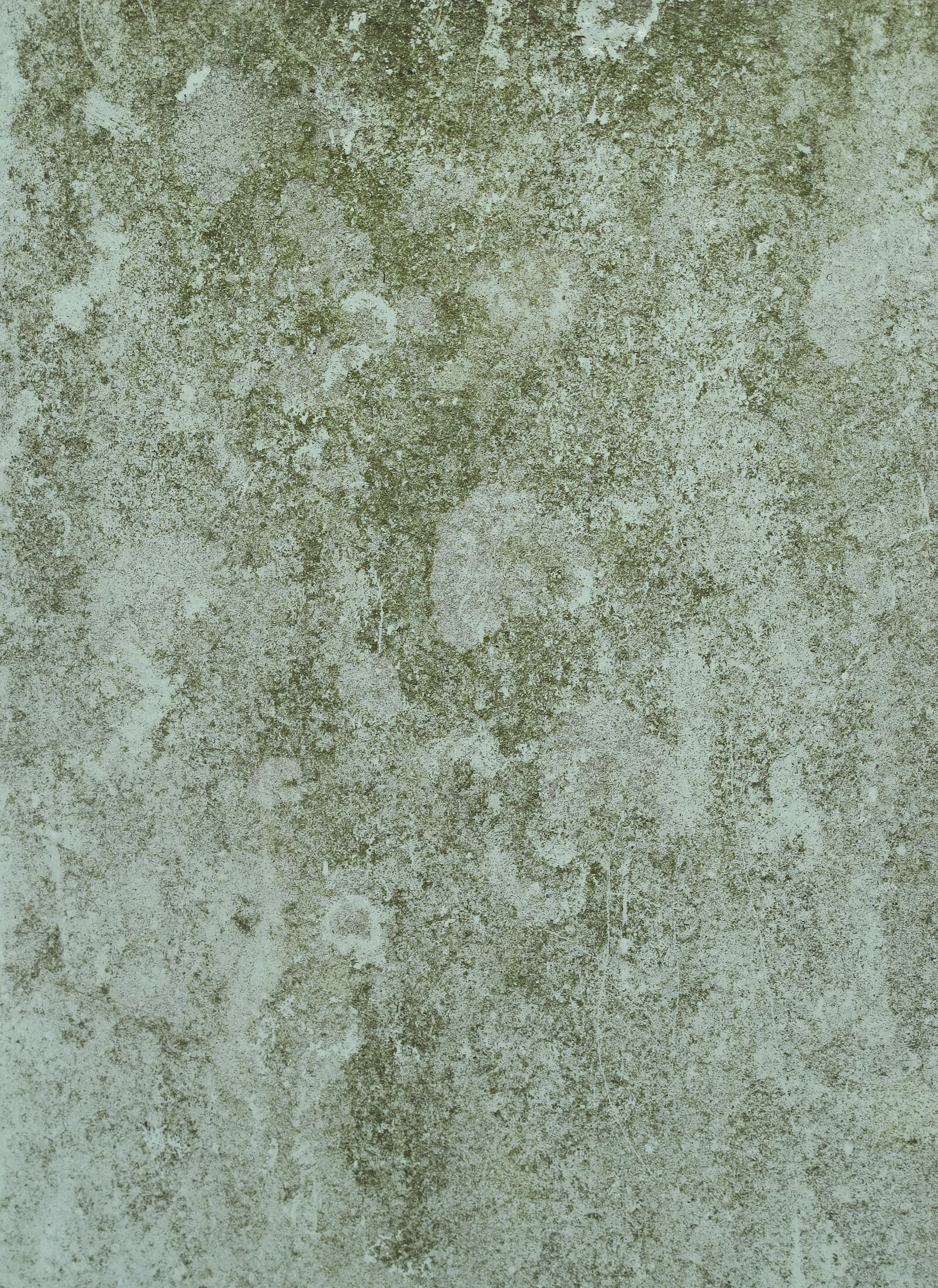 Canon PowerShot G12 sample photo. Surface, structure, texture photography