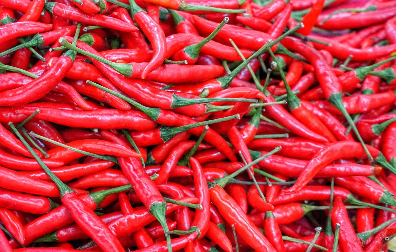 Sony a6300 sample photo. Red, hot, chili photography