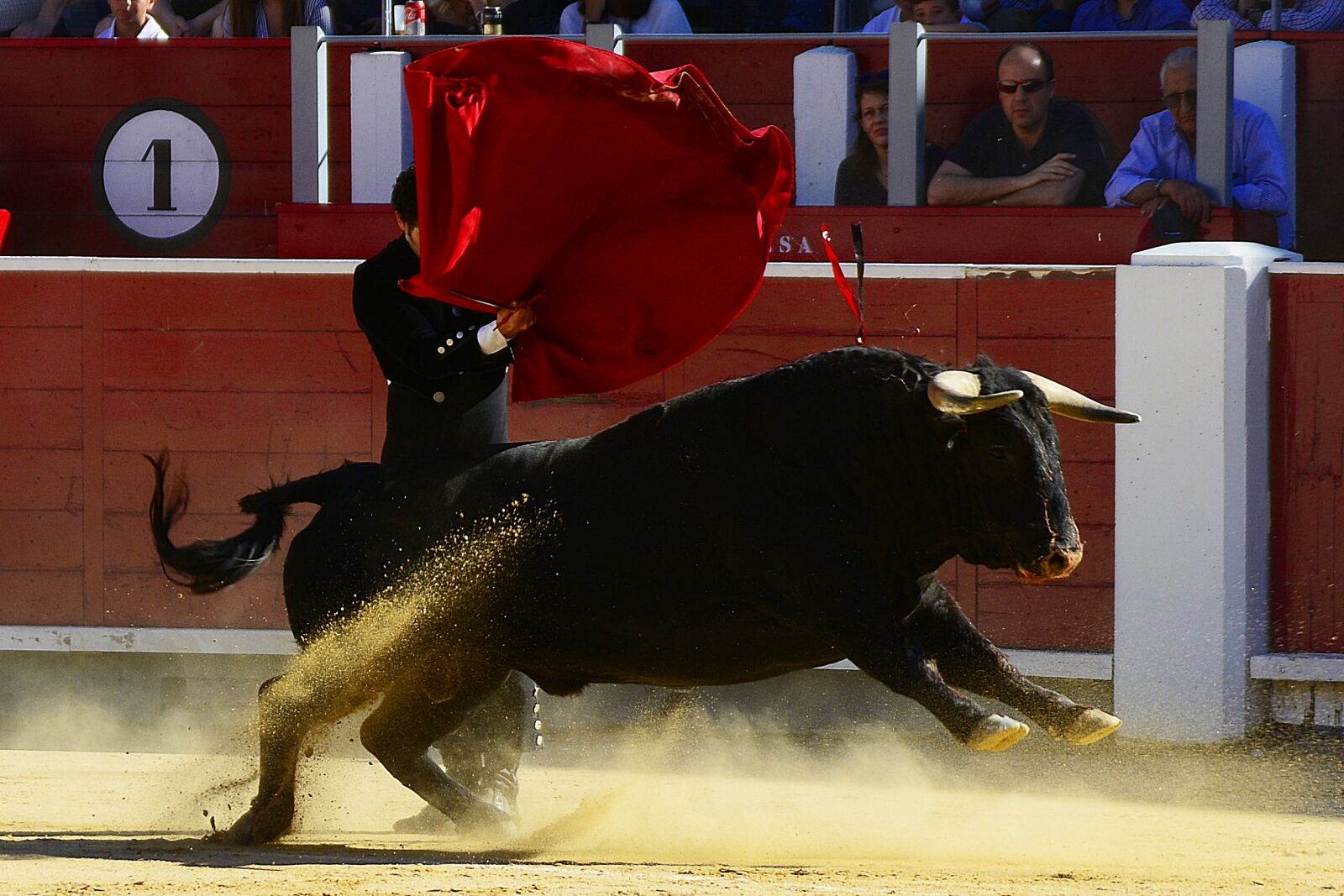 Nikon D7100 sample photo. Bulls, torero, spain photography