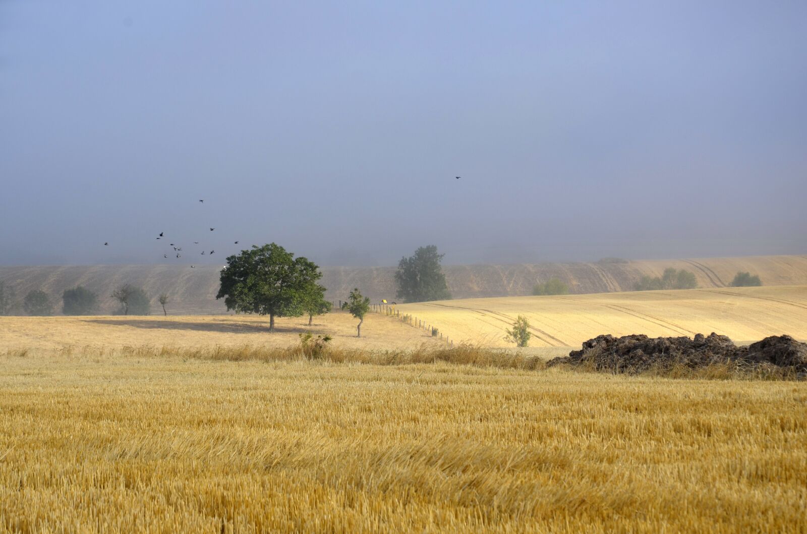 Nikon D5100 sample photo. Field, fog, fields photography