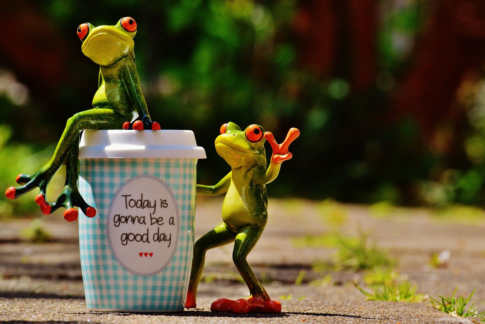 Nikon D3200 sample photo. Beautiful day, joy, frog photography