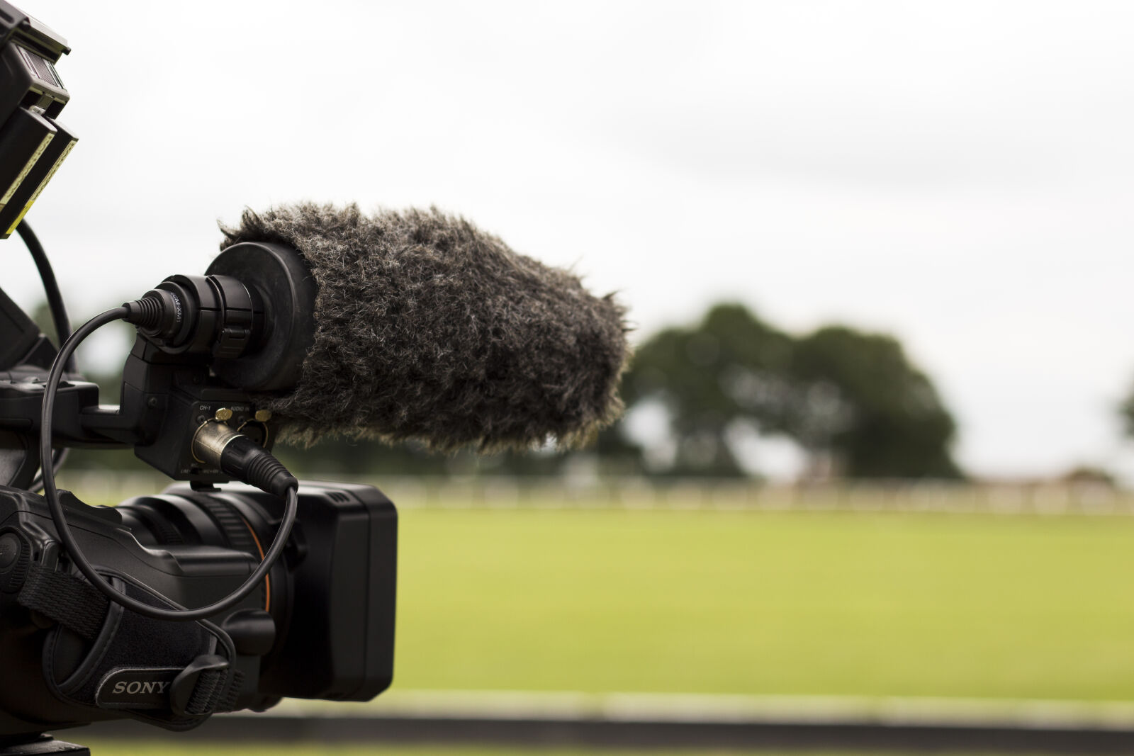 Canon EOS 600D (Rebel EOS T3i / EOS Kiss X5) sample photo. Bokeh, camera, camera, rig photography