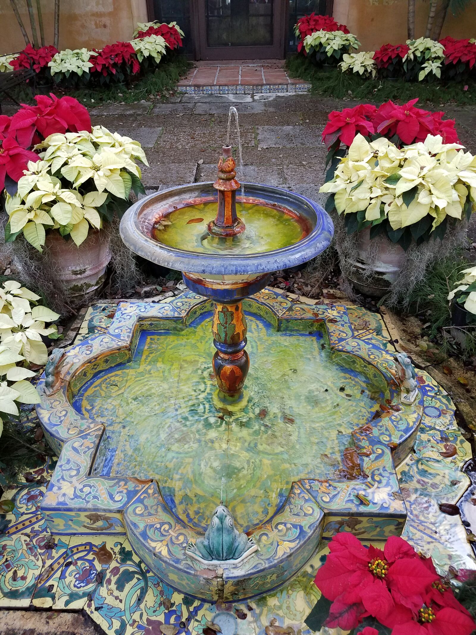 Samsung Galaxy S7 sample photo. Fountain, plants, poinsettia photography