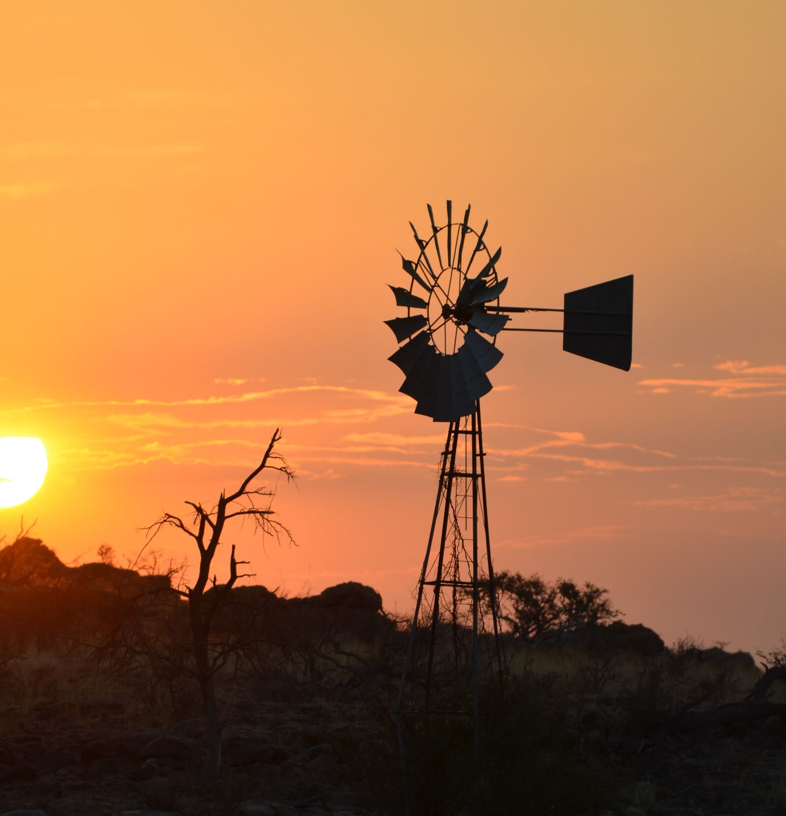Nikon D7000 sample photo. Africa, sunset, nature photography