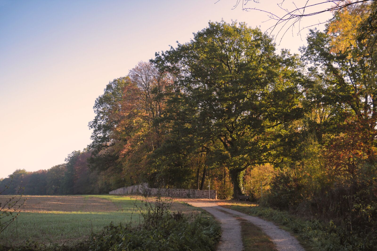 Canon EOS 700D (EOS Rebel T5i / EOS Kiss X7i) sample photo. Autumn landscape, colorful, color photography