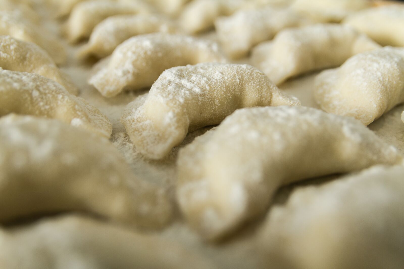 Canon EOS 7D sample photo. Dumplings, raw, uncooked photography