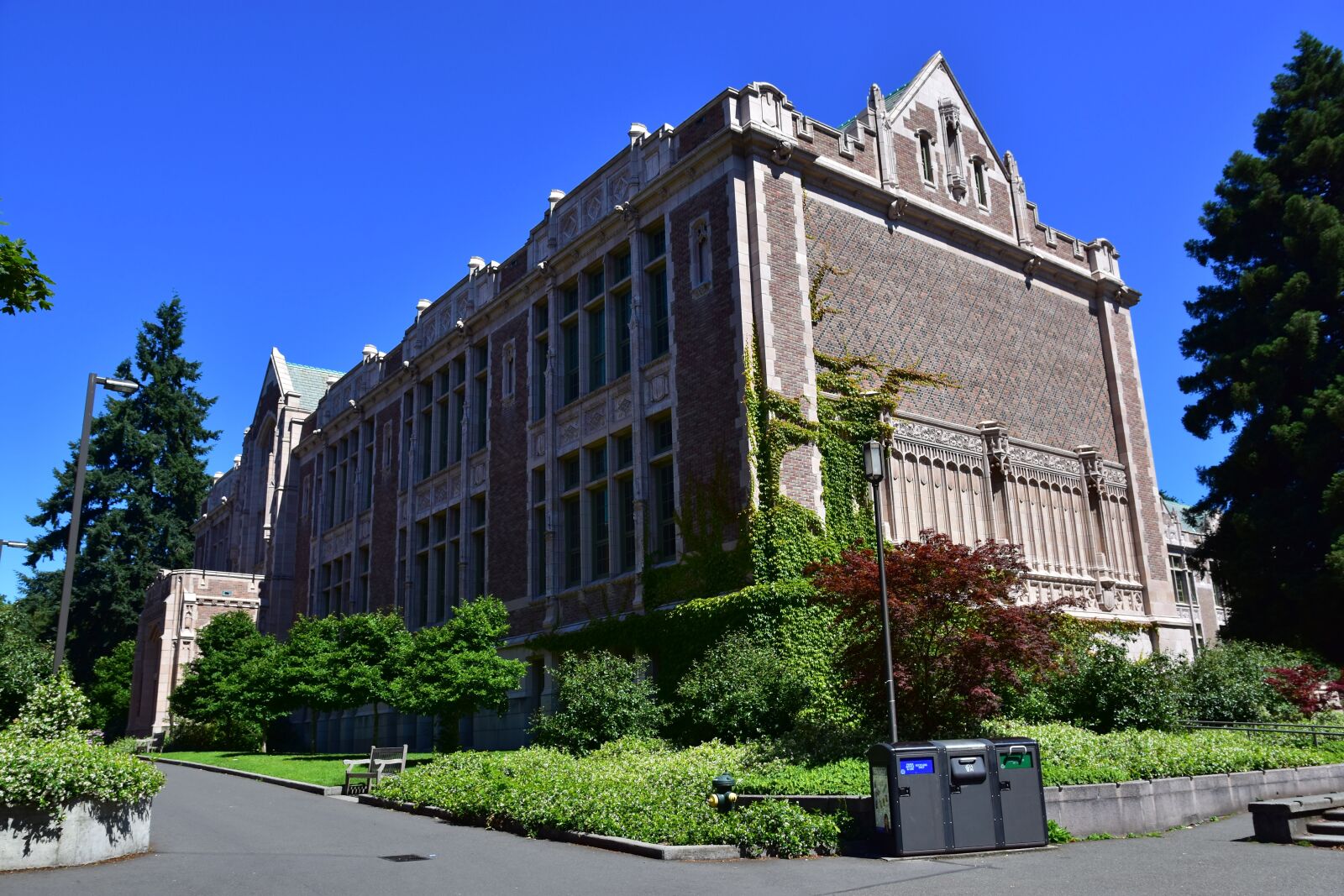 Nikon D7200 sample photo. United states, uw, the photography