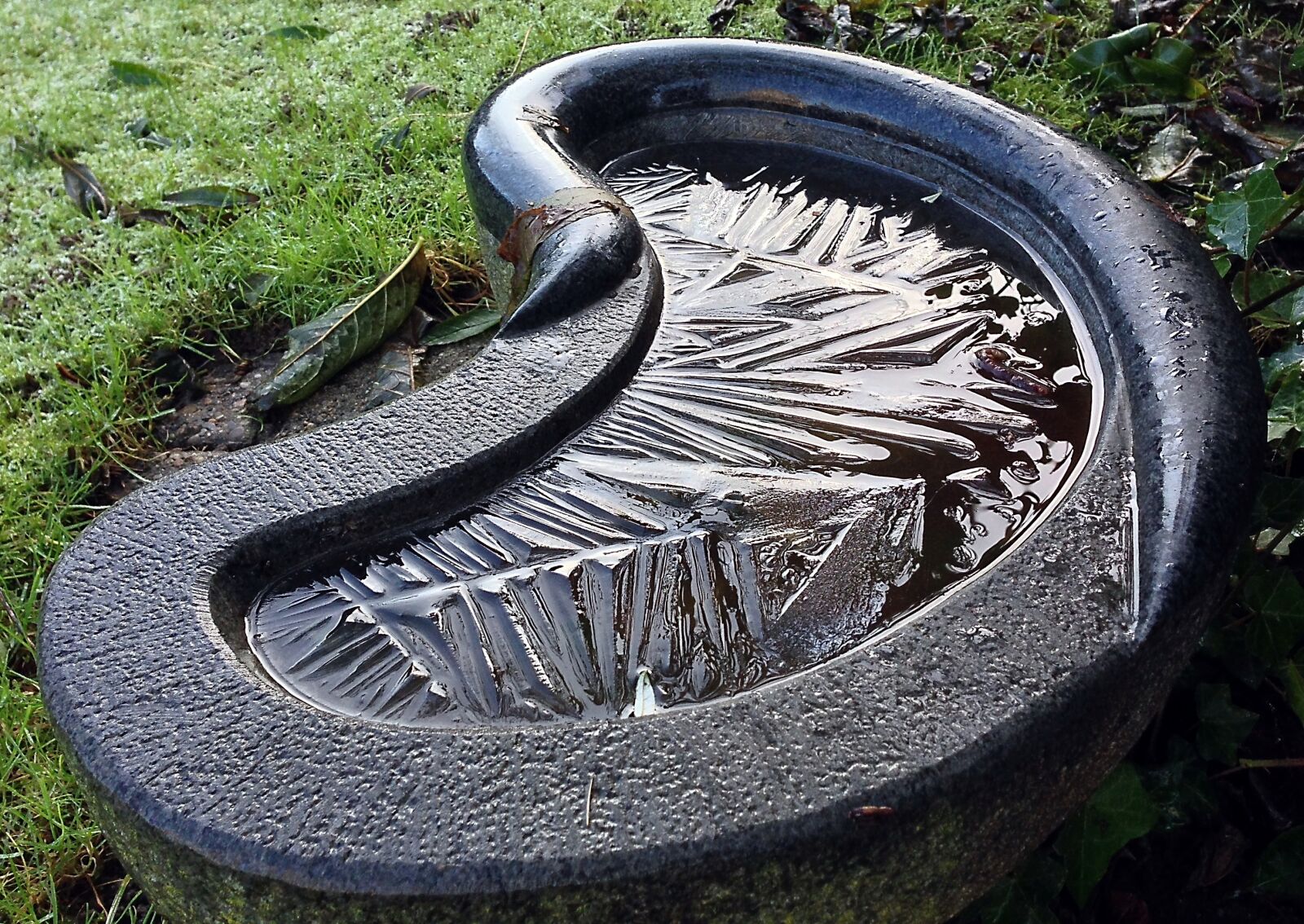iPhone 5 back camera 4.12mm f/2.4 sample photo. Have, bird bath, frost photography