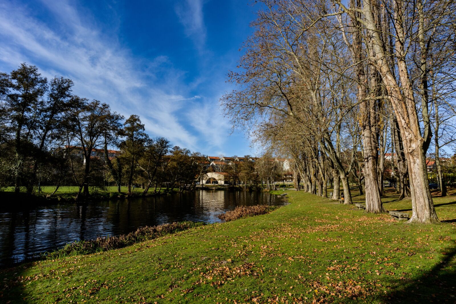 Nikon D800 sample photo. Trees, river, allariz photography