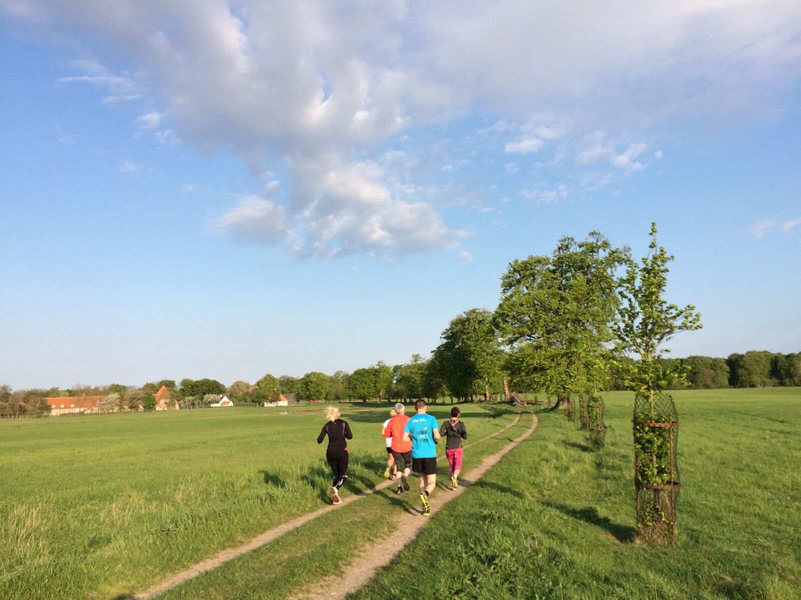 iPhone 5s back camera 4.15mm f/2.2 sample photo. Race, summer, denmark photography