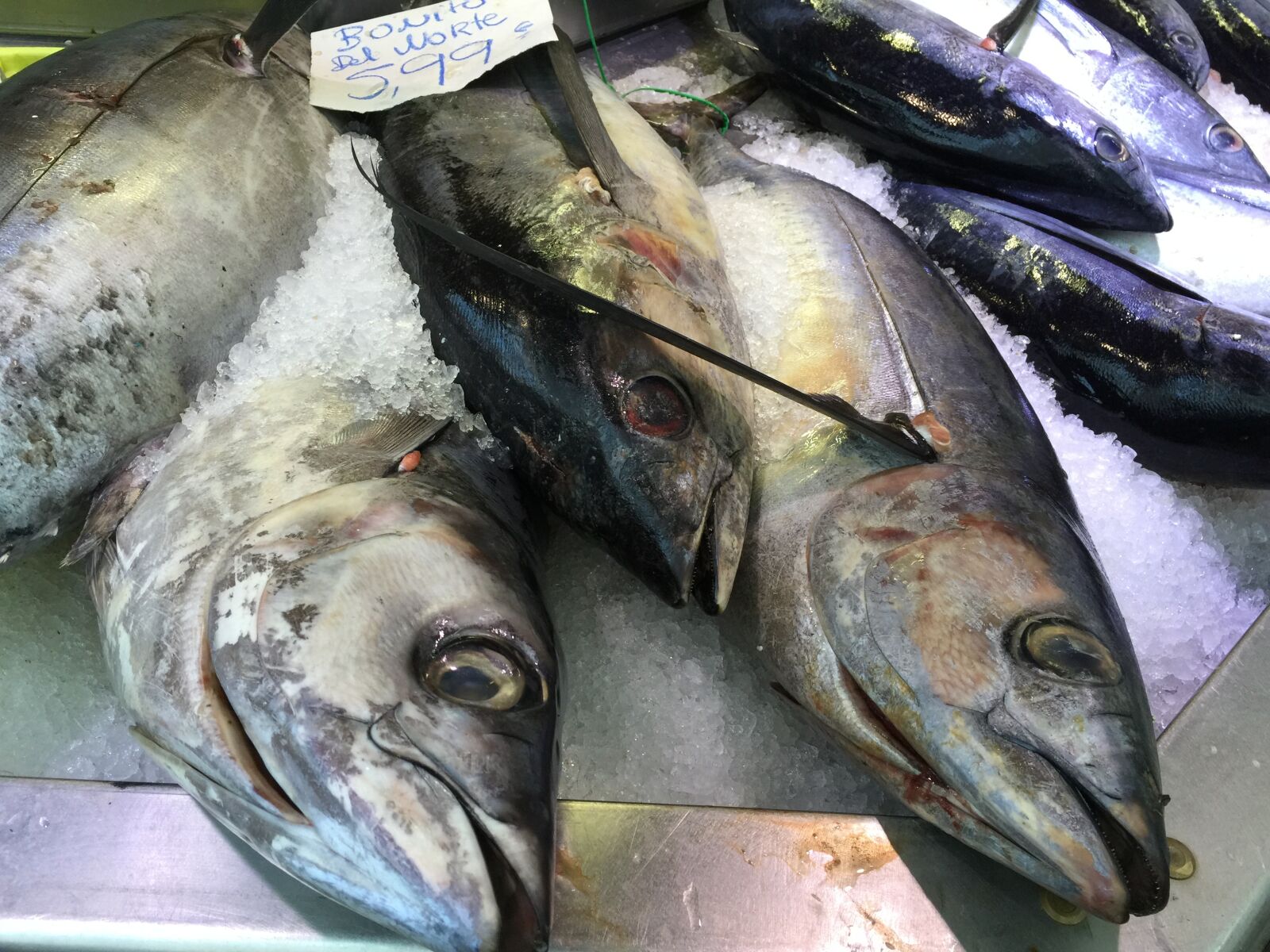 iPhone 6 Plus back camera 4.15mm f/2.2 sample photo. Fish, seafood, healthy photography