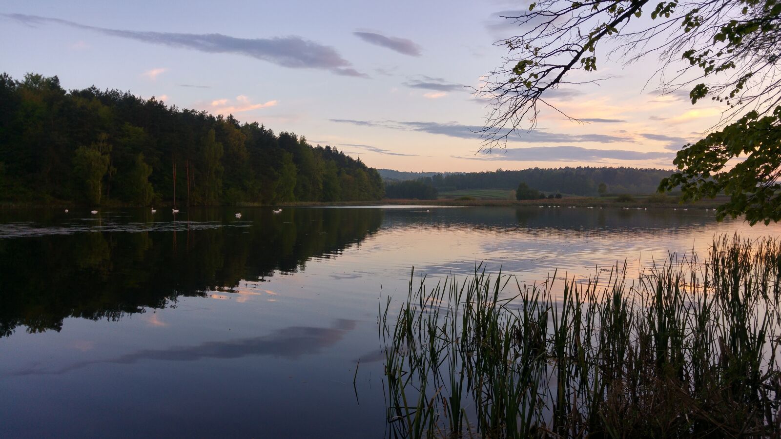 LG G4 sample photo. Lake, view, landscape photography