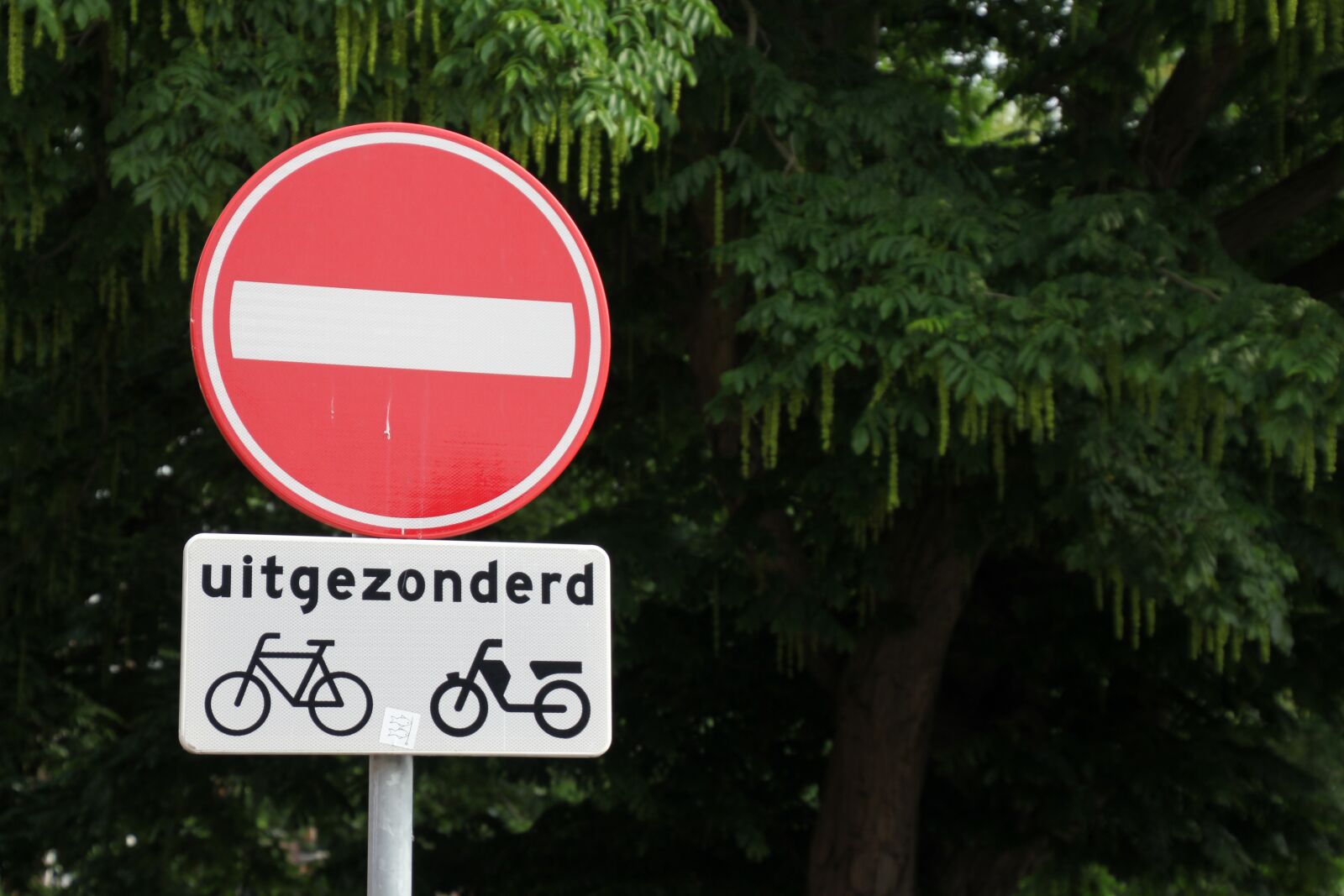 Canon EOS 60D sample photo. Verbotsschild, prohibitory, bike photography