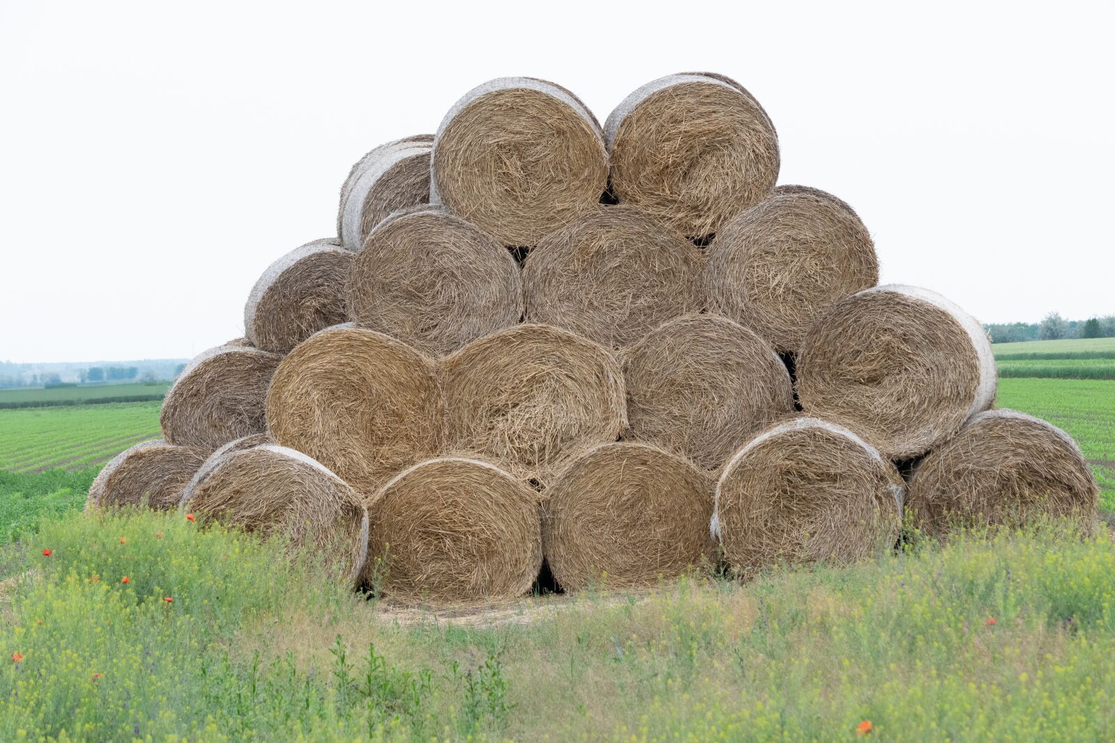 Nikon D3300 sample photo. Agriculture, straw, straw bales photography