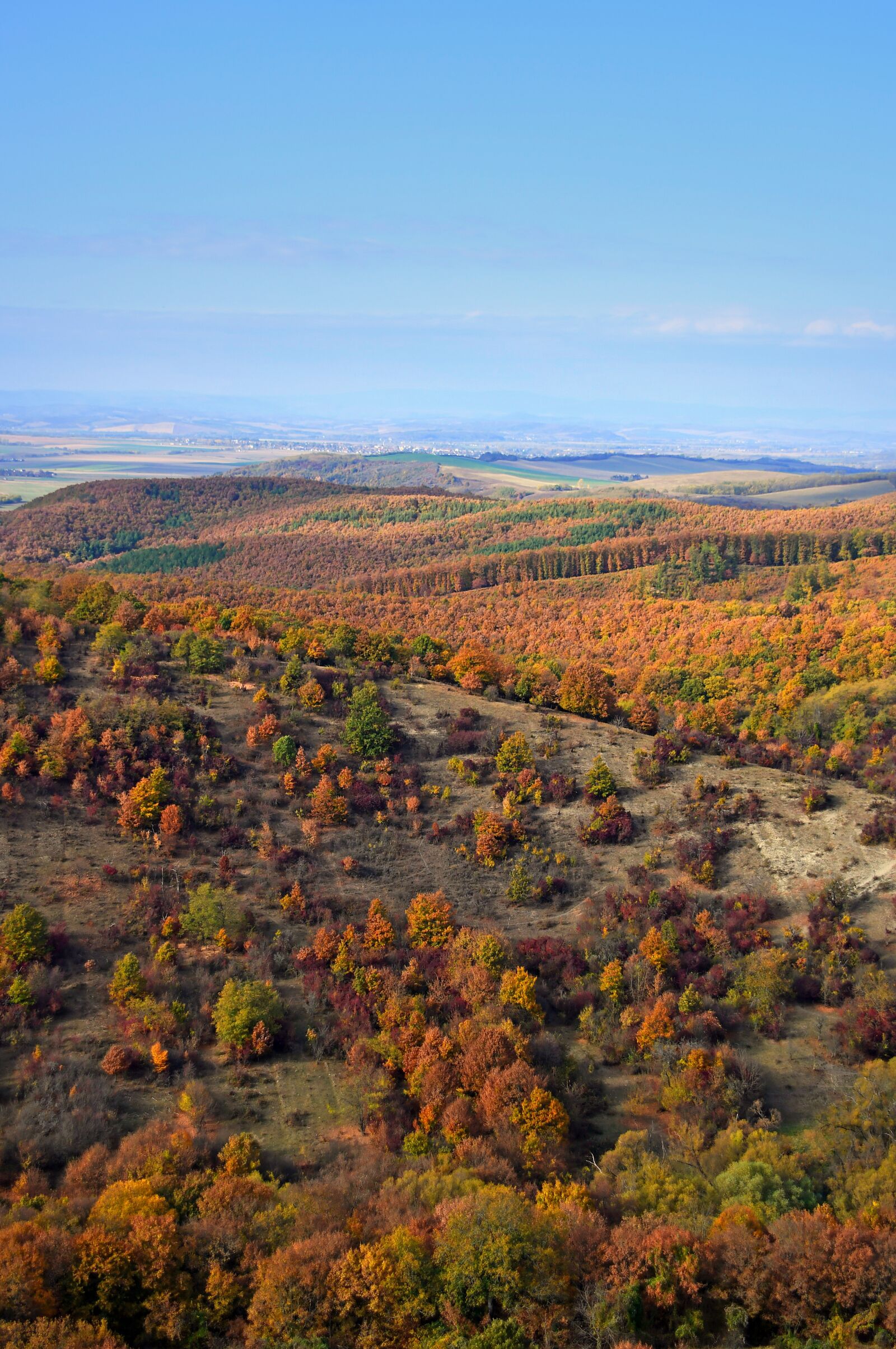 Nikon D3200 sample photo. Autumn landscape, landscape, color photography