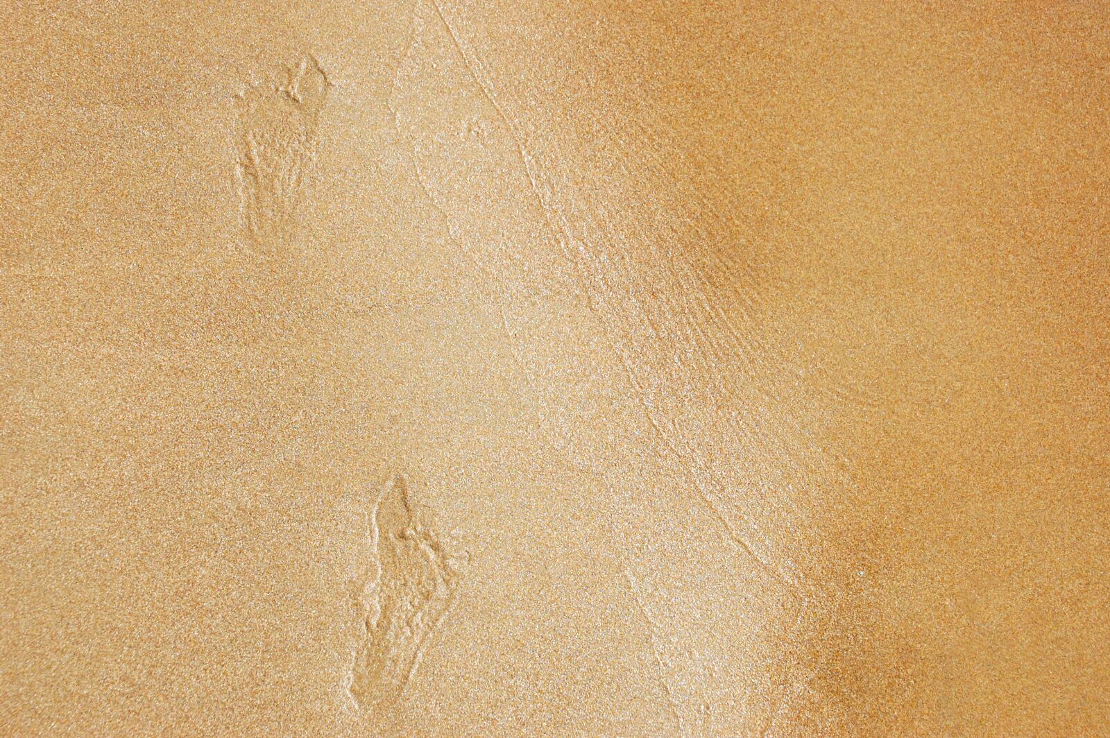 Tamron AF 18-270mm F3.5-6.3 Di II VC LD Aspherical (IF) MACRO sample photo. Footprints in the sand photography