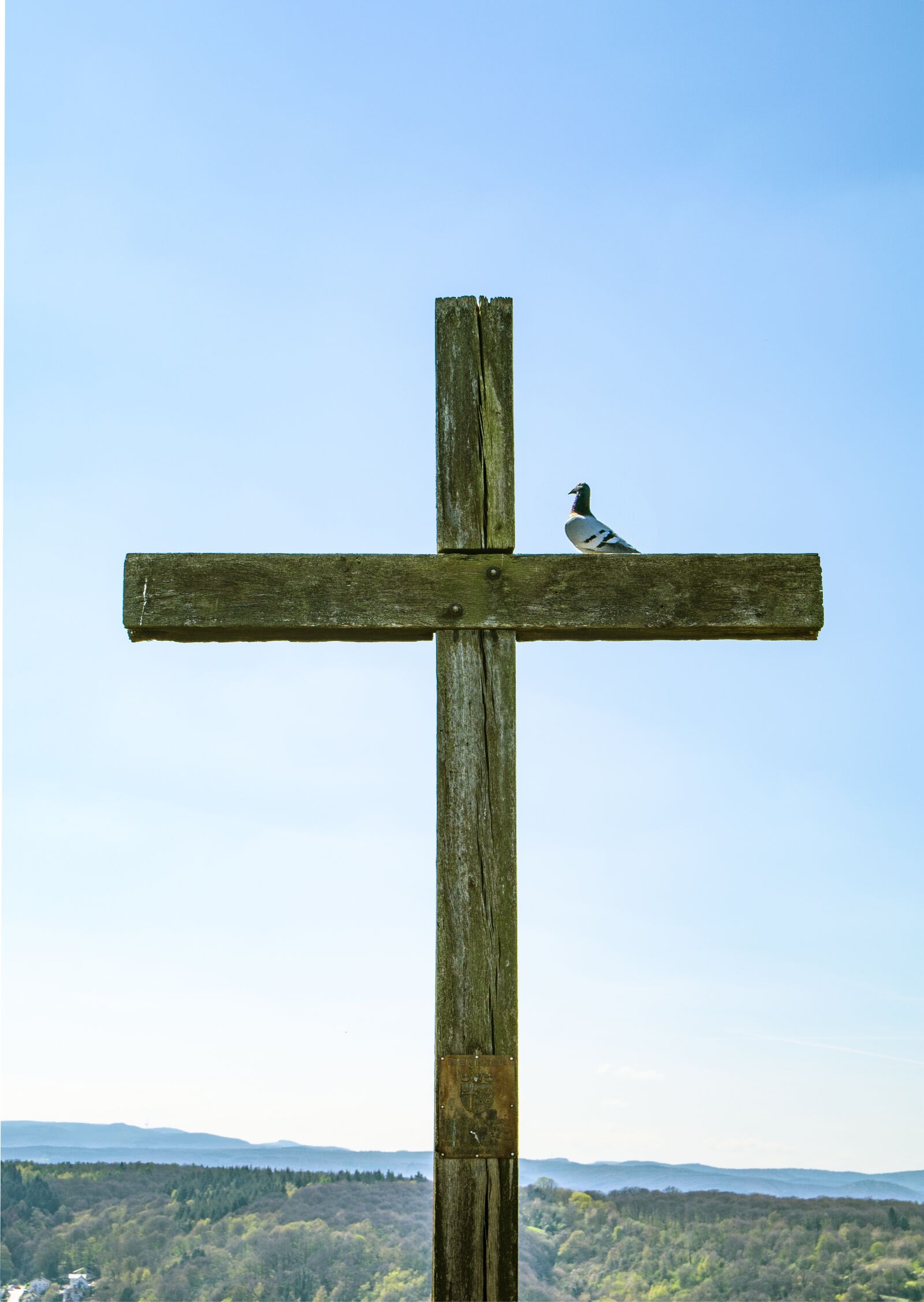Nikon D5200 sample photo. Cross, dove, peace photography