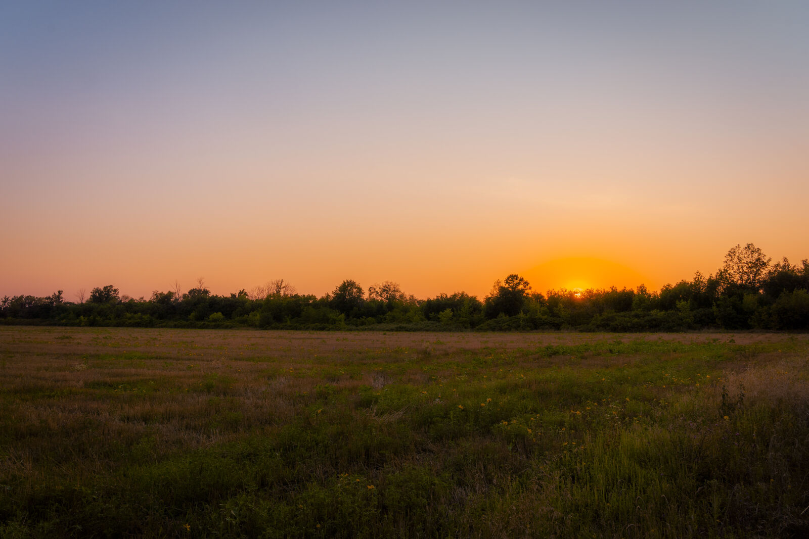 Sony a7 III + Sony FE 24-105mm F4 G OSS sample photo