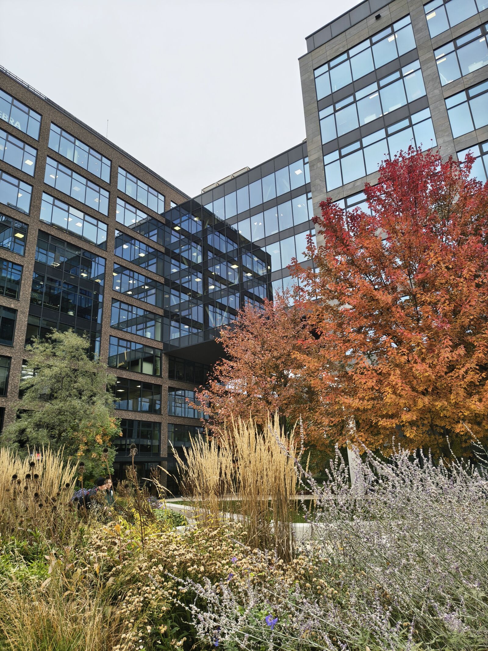 Motorola EDGE 60 PRO sample photo. Office park photography