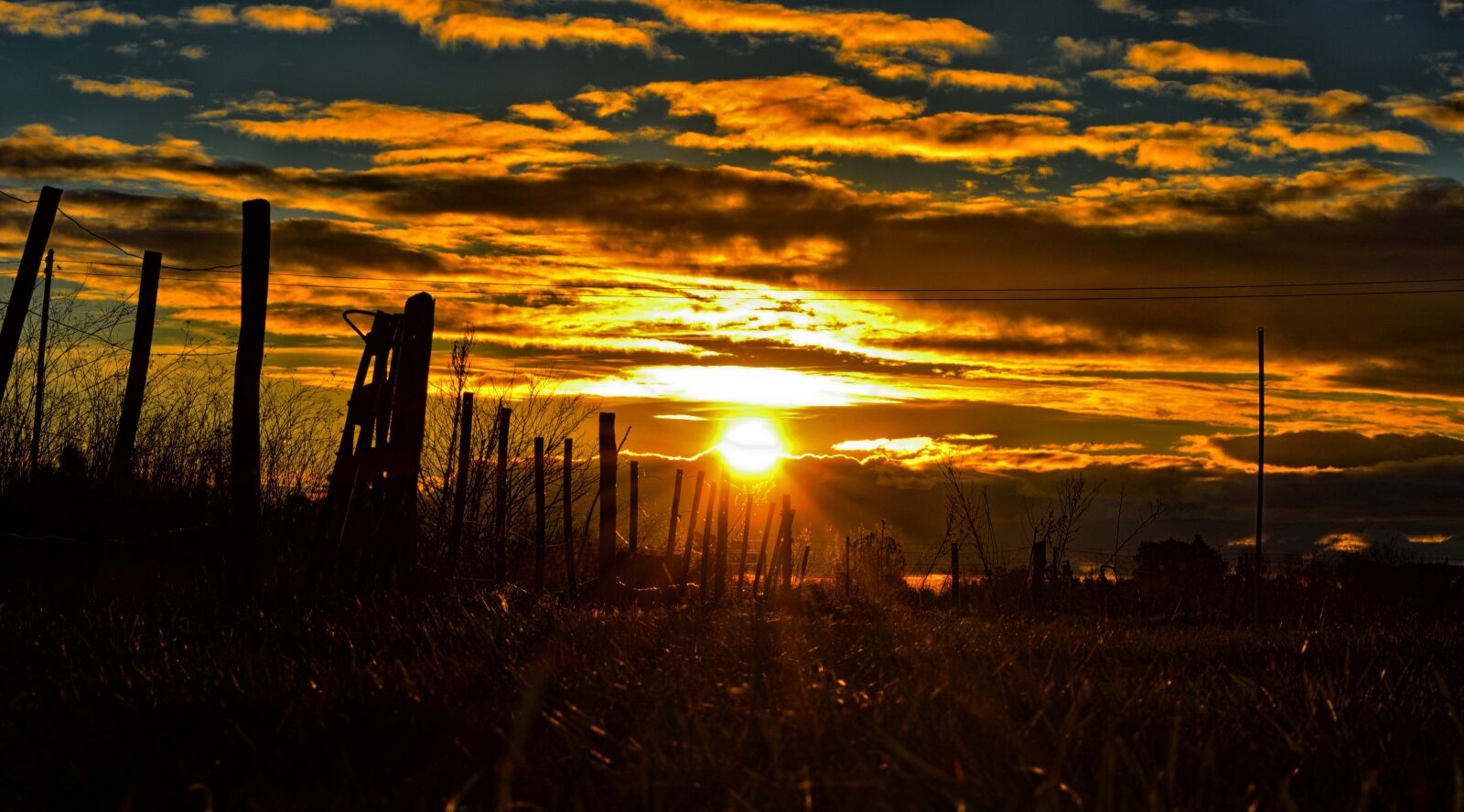 Nikon D5200 sample photo. Gate, sunset, sun photography