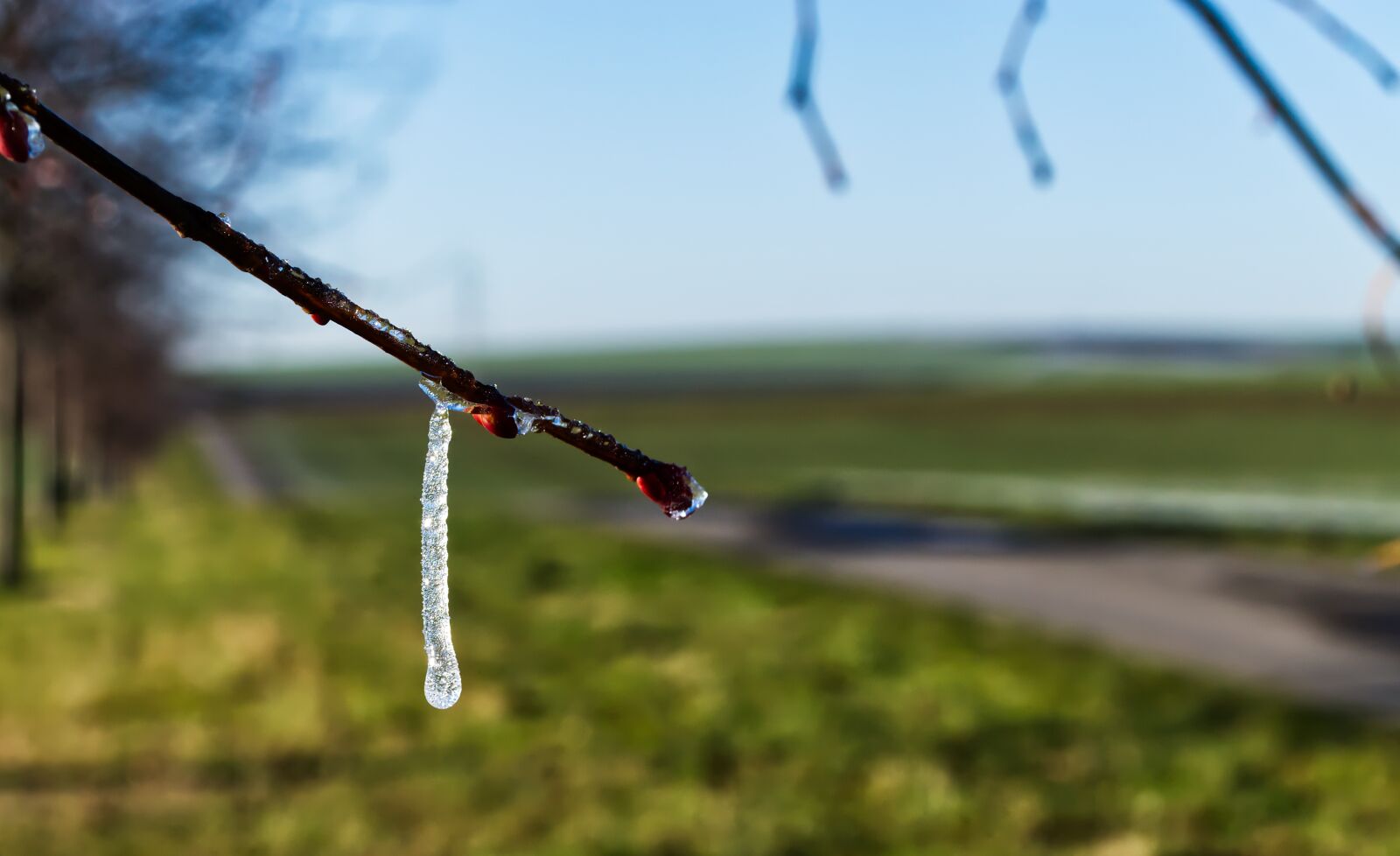 Nikon D5500 sample photo. Winter, ice, snow photography