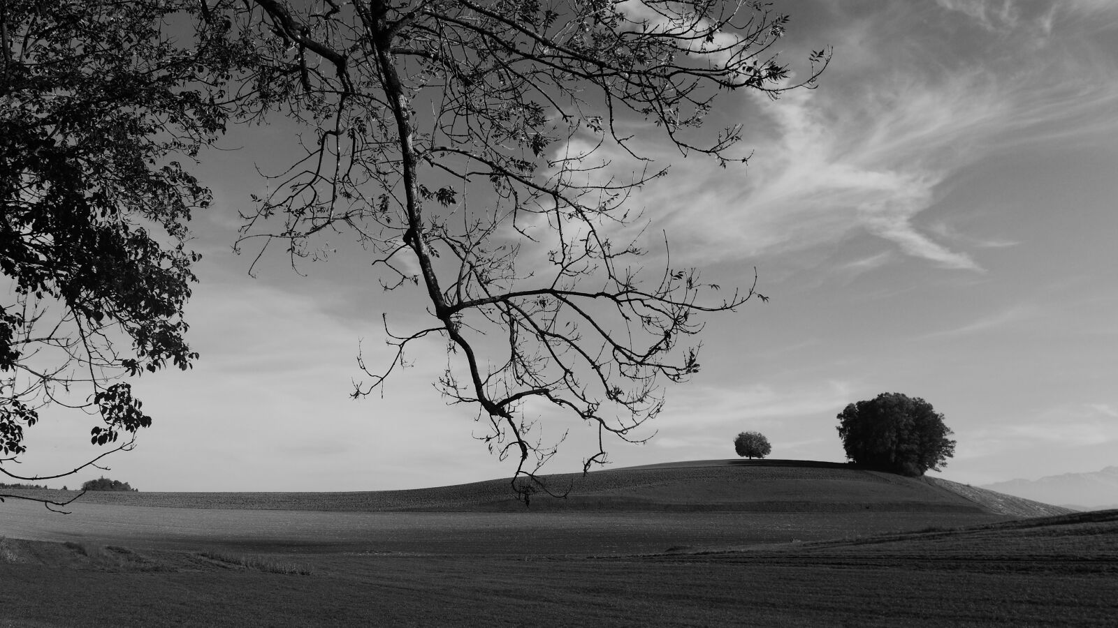 Leica D-Lux 6 sample photo. Black and white, landscape photography