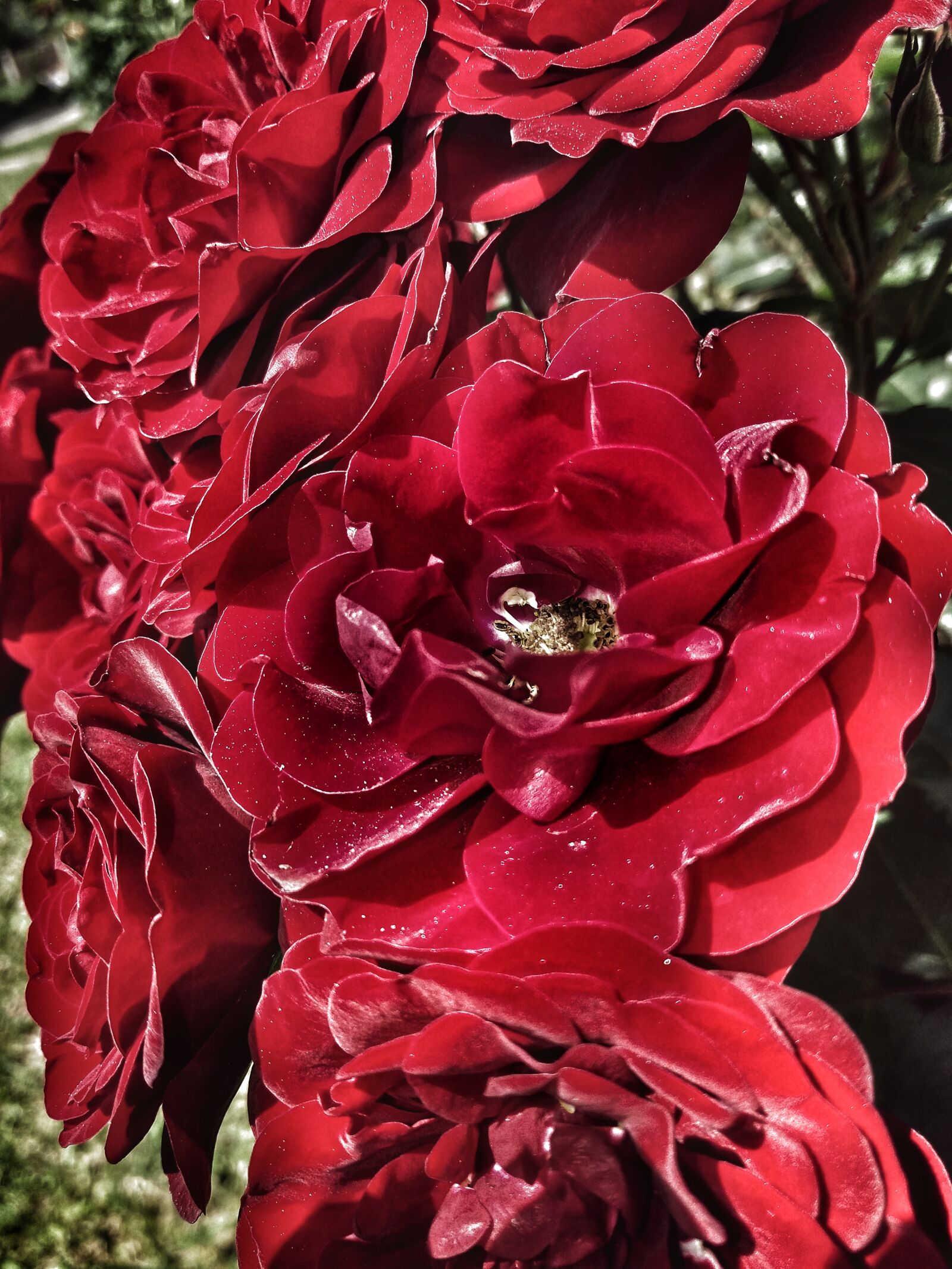 Samsung Galaxy J5(2016) sample photo