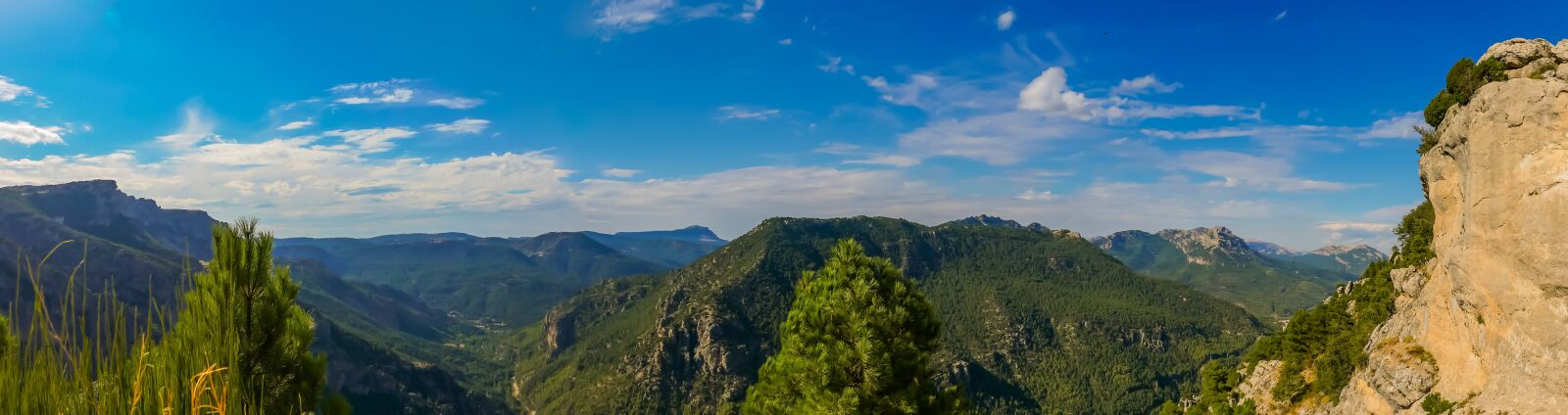 Panasonic DC-FZ10002 sample photo. Trees, mountains, mountain range photography
