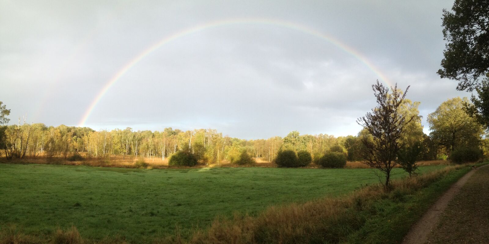 Apple iPhone 4S sample photo. Rainbow, meadow, forest photography