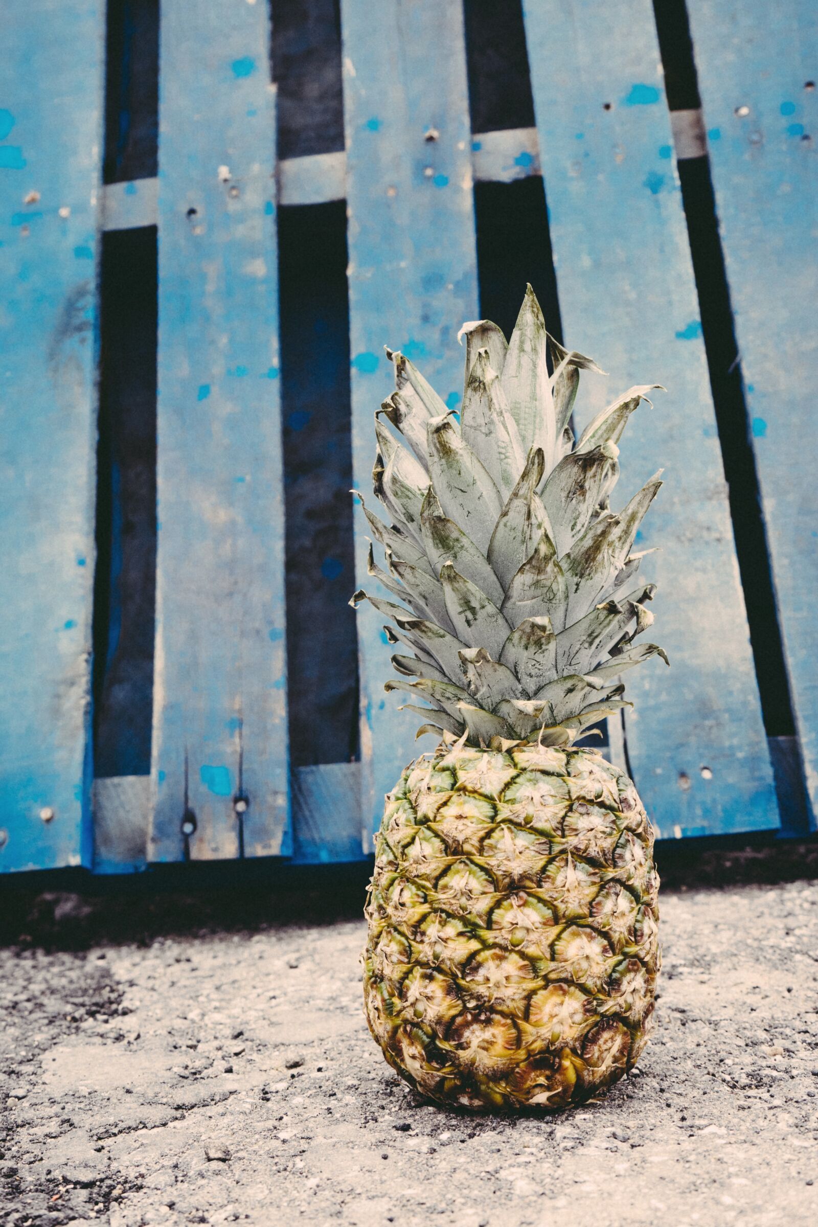 Sony a7 II + Sony FE 28-70mm F3.5-5.6 OSS sample photo. Asphalt, blue, fruit photography