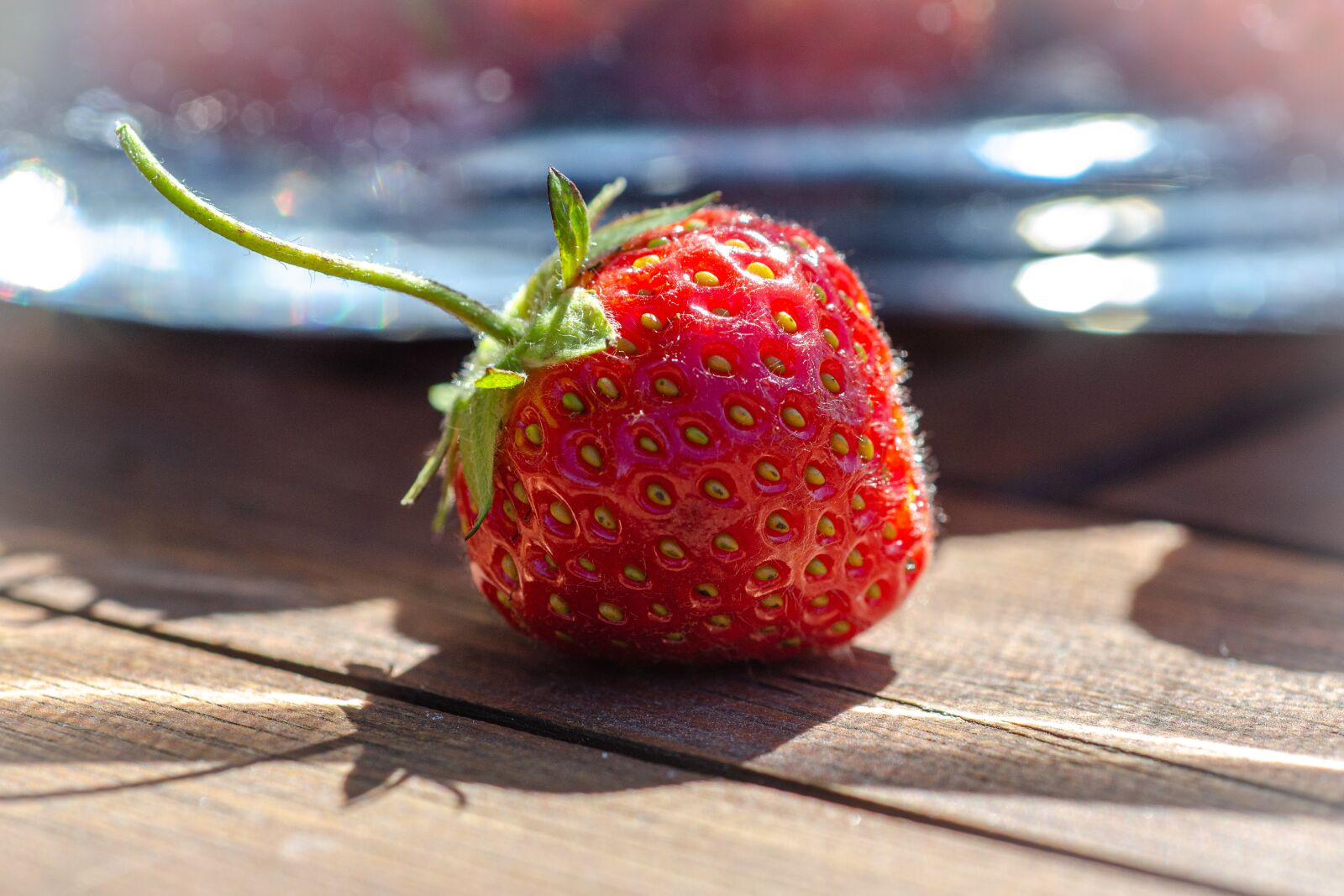 Nikon D7000 sample photo. Strawberry, fruit, red photography
