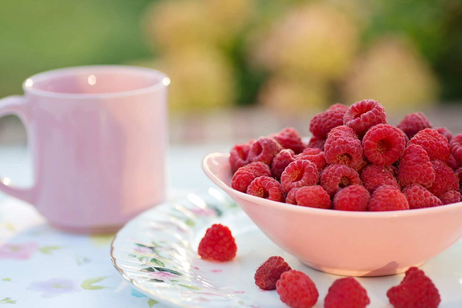 Canon EOS 5D Mark III sample photo. Raspberries, breakfast, fruit photography