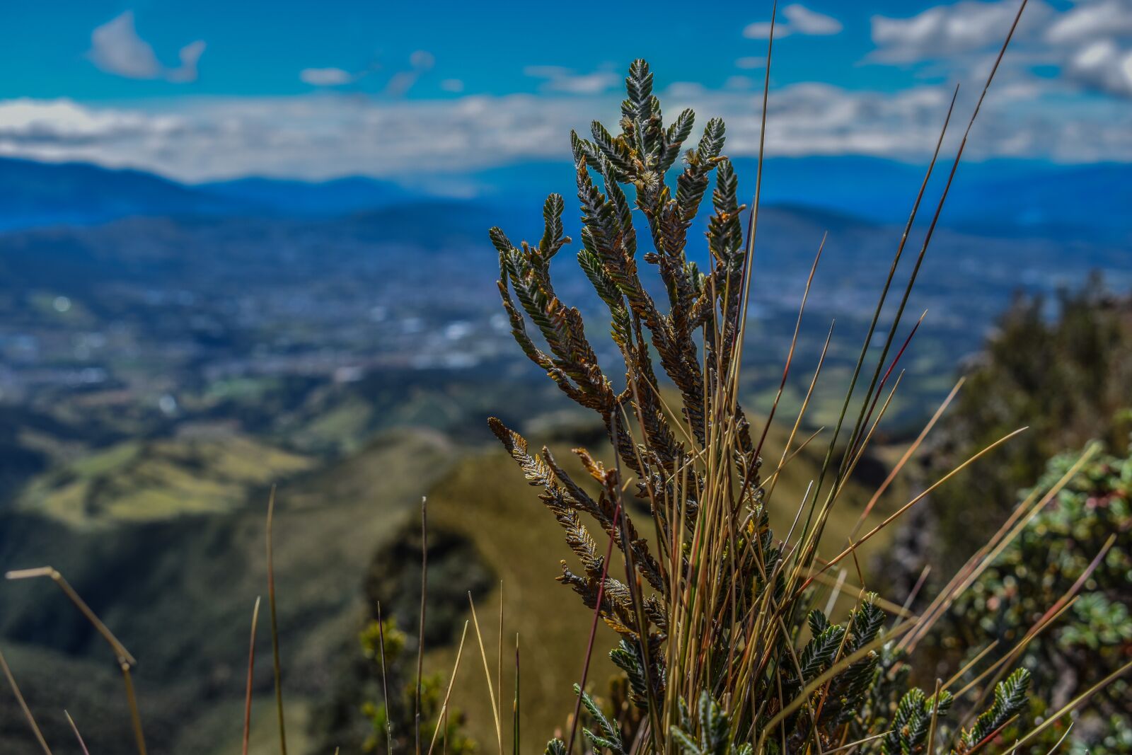Nikon D3400 sample photo. Pasochoa, landscape, volcanic photography