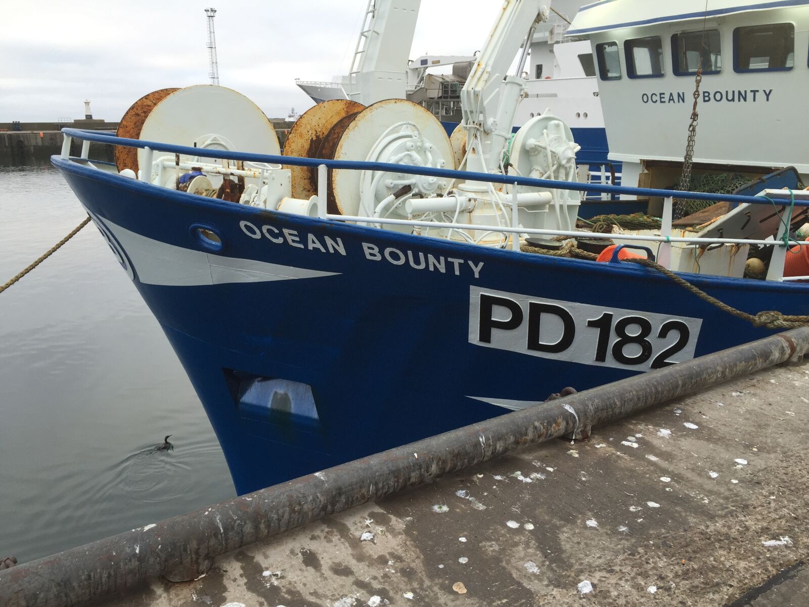 iPhone 6 Plus back camera 4.15mm f/2.2 sample photo. Fish market, peterhead, fish photography
