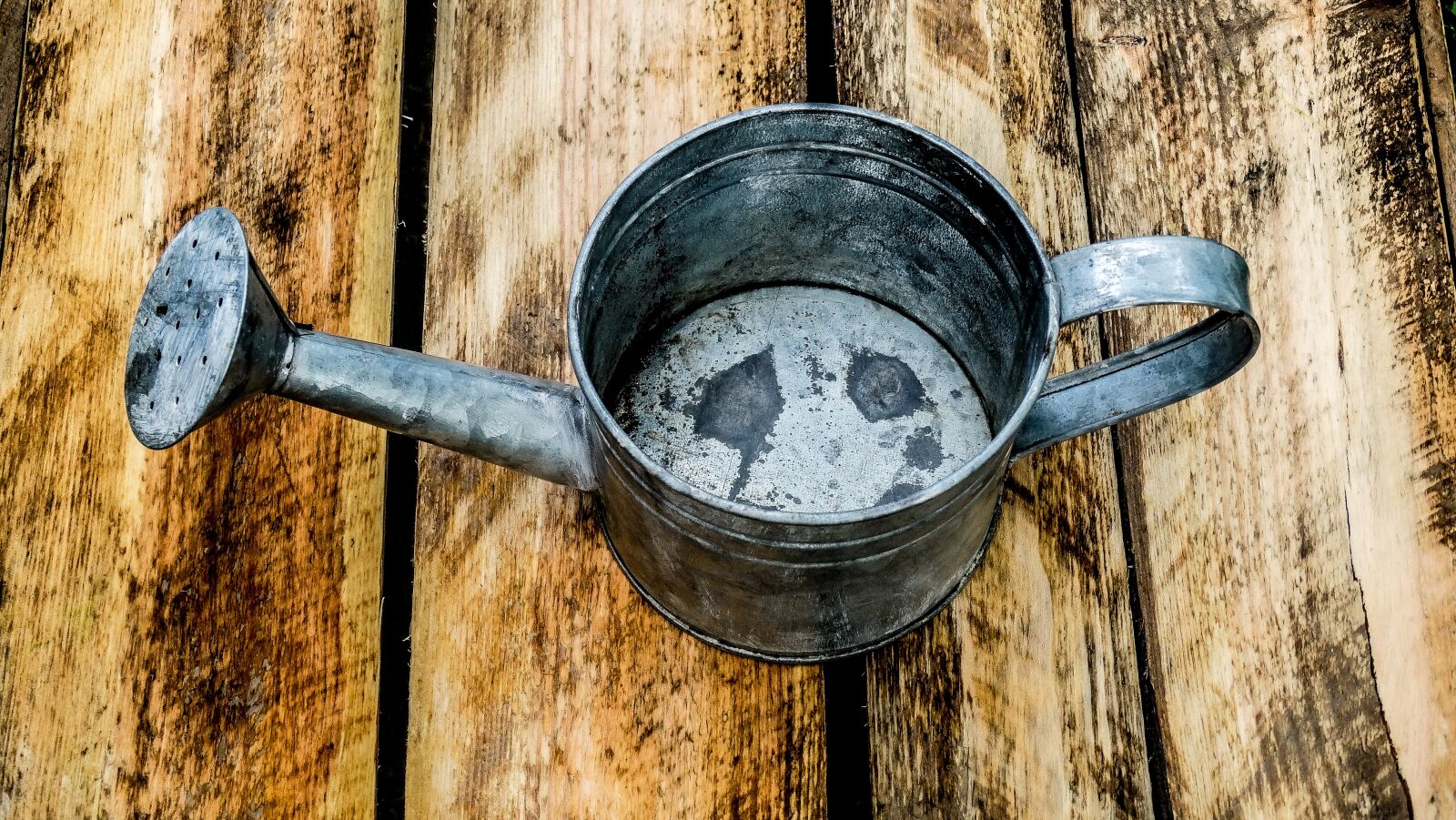 Sony Cyber-shot DSC-HX300 sample photo. Watering can, garden, box photography