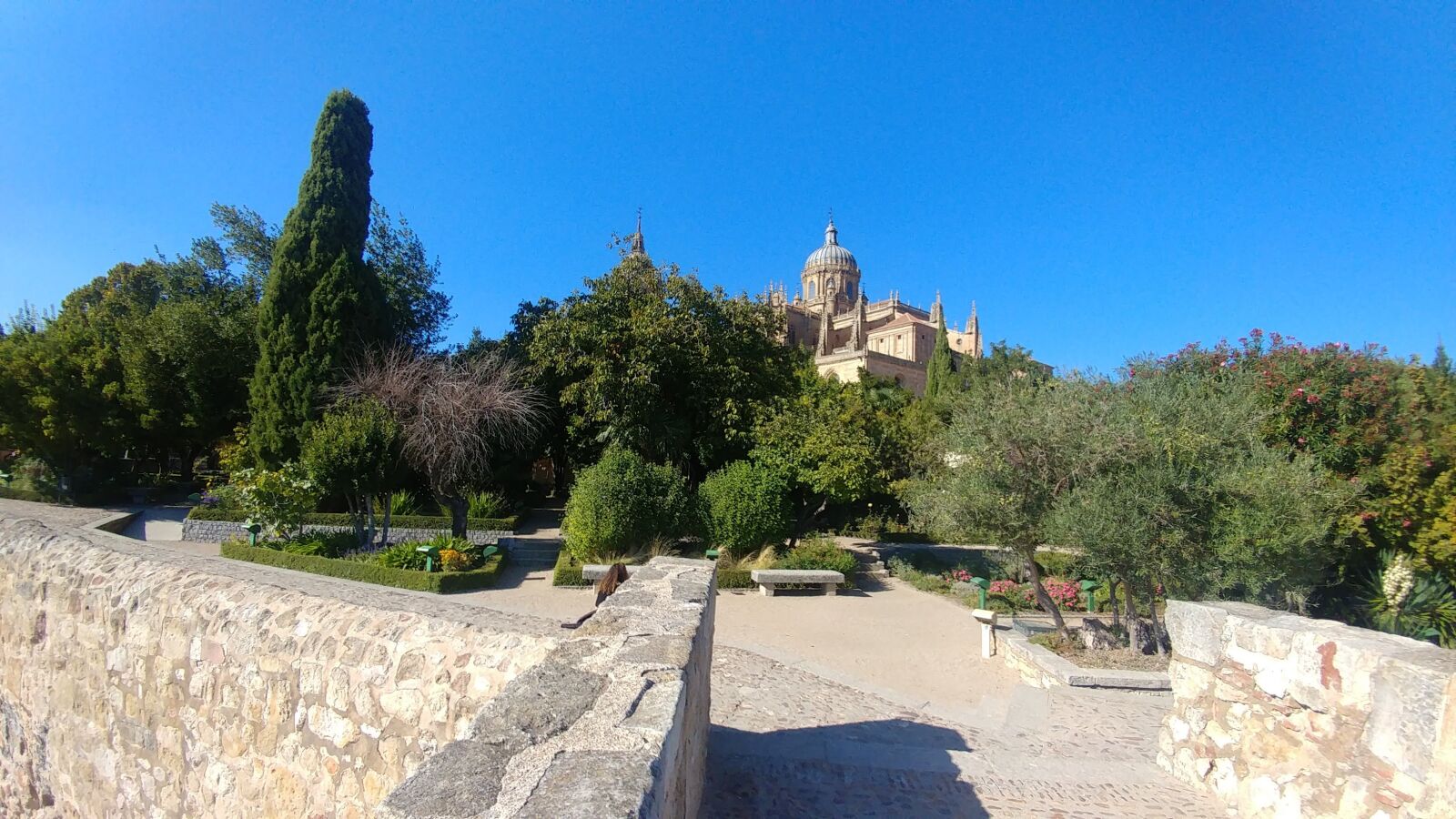 LG V20 sample photo. Plaza, wholesale, salamanca photography