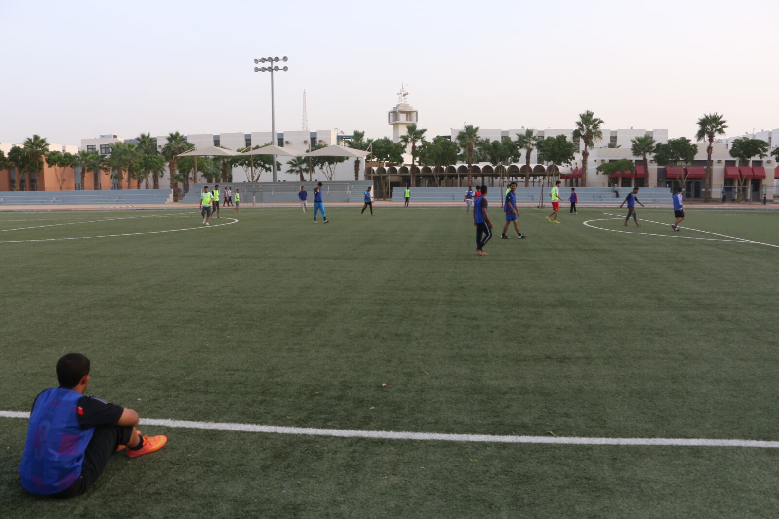 Canon EOS 70D sample photo
