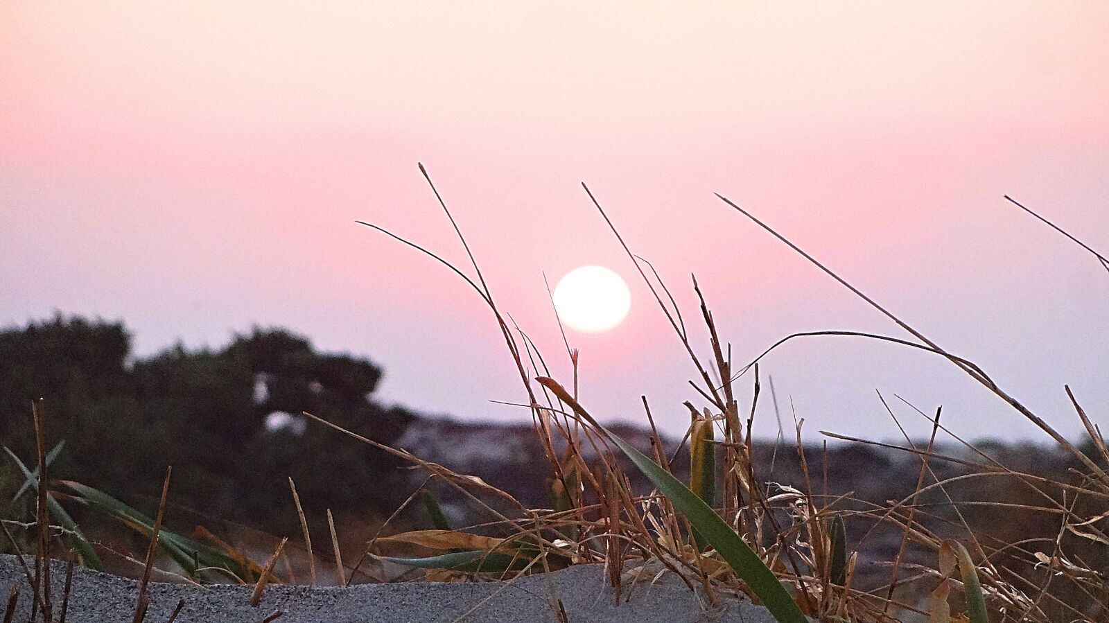 Sony DSC-WX100 sample photo. Beach, nature, sunset photography