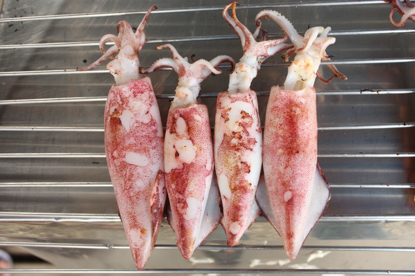 Canon EOS 450D (EOS Rebel XSi / EOS Kiss X2) sample photo. Ink, squid, seafood photography
