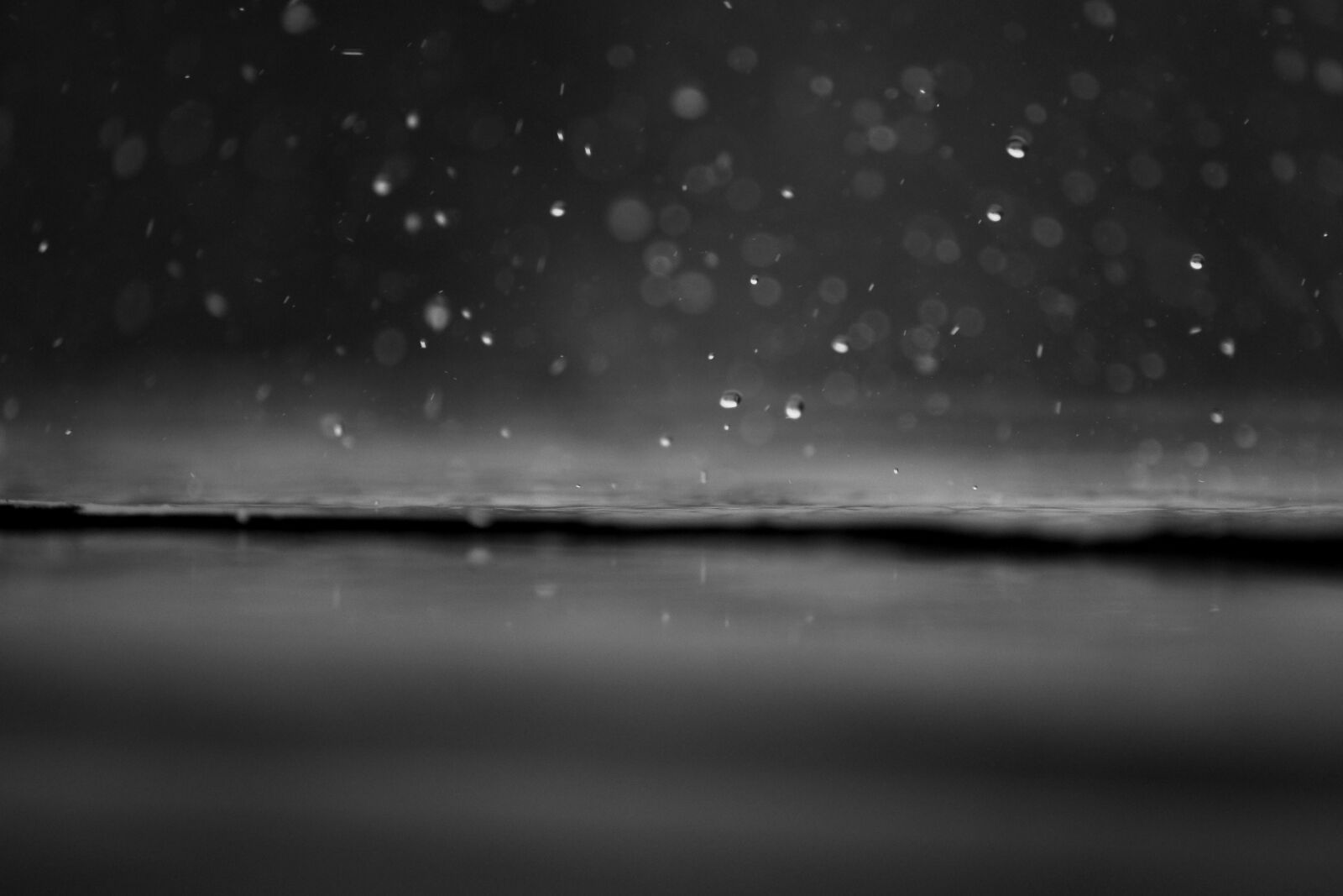 Nikon D90 sample photo. Raindrop, rain, water photography