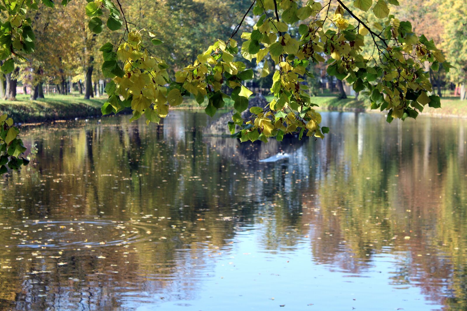 Canon EOS 1200D (EOS Rebel T5 / EOS Kiss X70 / EOS Hi) sample photo. Autumn landscape, park, water photography