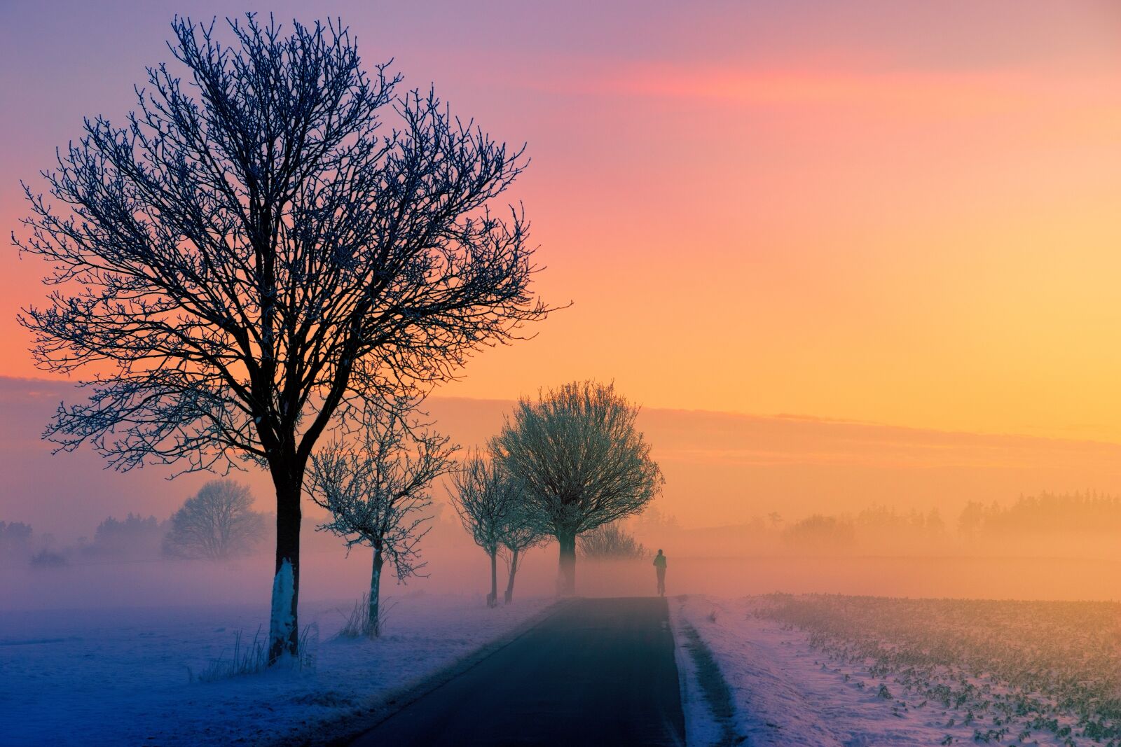 Sony a7 + Sony DT 50mm F1.8 SAM sample photo. Winter, fog, dawn photography