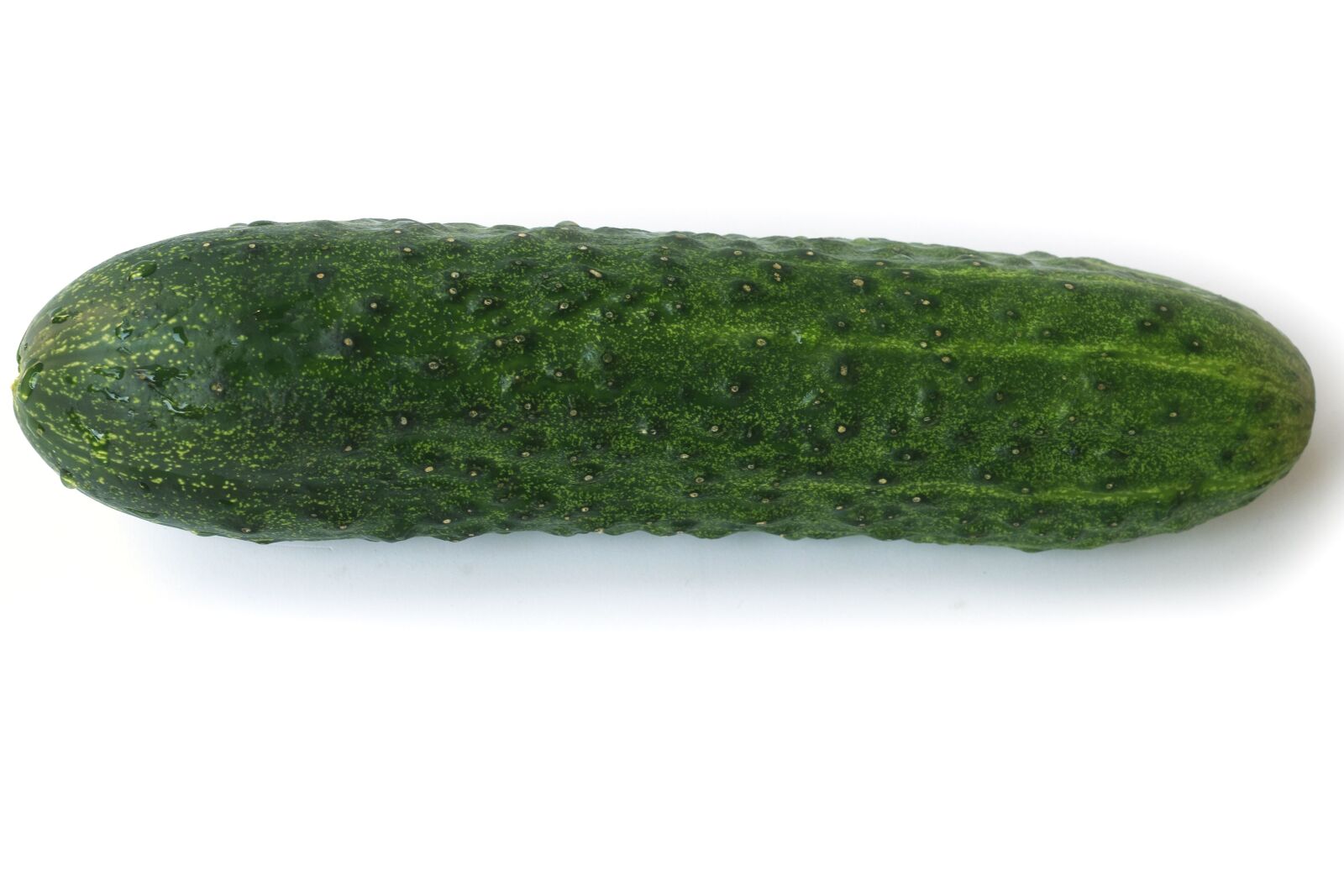 Canon EOS 100D (EOS Rebel SL1 / EOS Kiss X7) sample photo. Cucumber, vegetable, plant, food photography