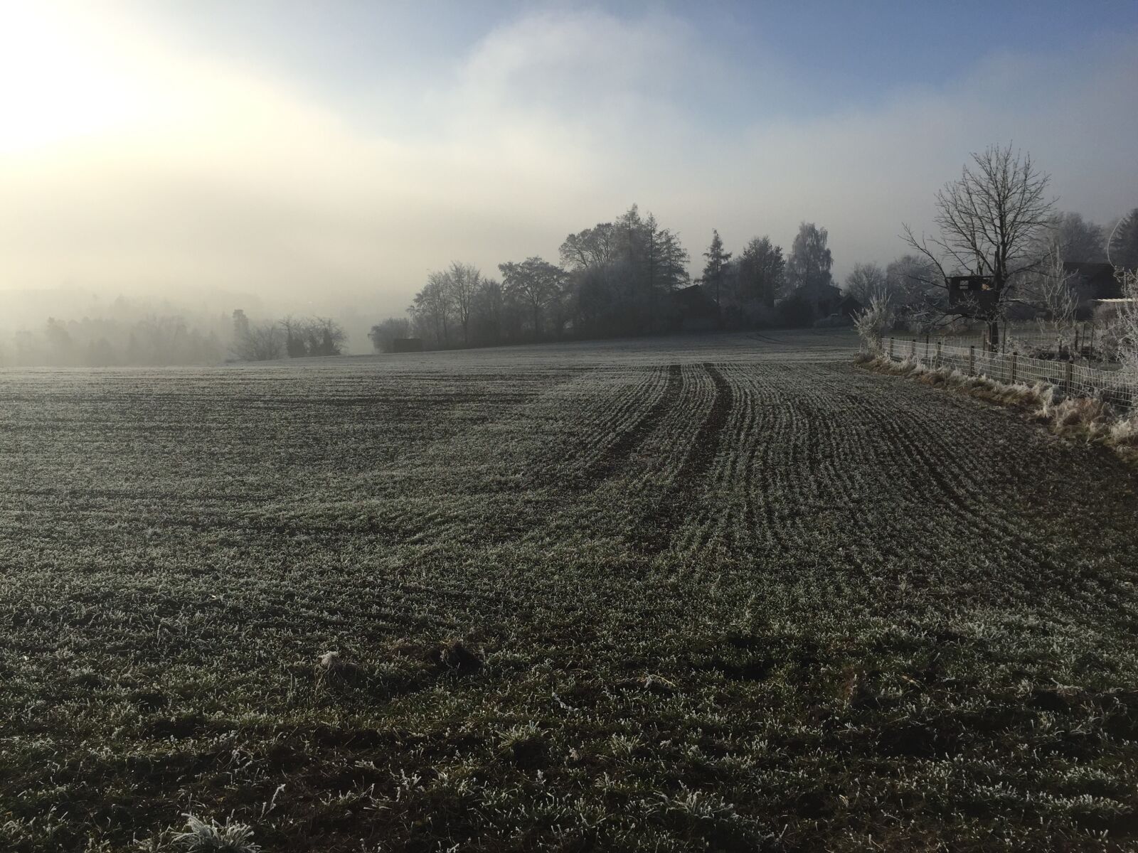 Apple iPhone 6 sample photo. Zurich oberland, winter, fog photography