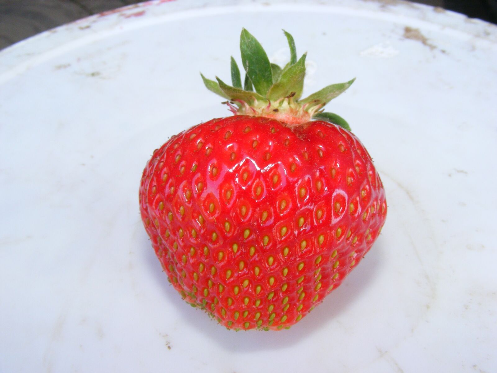 Fujifilm FinePix S5700 S700 sample photo. Strawberry, fruit, a single photography